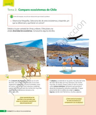 Tema 2:	 Comparo ecosistemas de Chile
Debido a la gran variedad de climas y relieves, Chile posee una
amplia diversidad de ecosistemas. Conozcamos algunos de ellos.
Antes de empezar, escucha las indicaciones que te dará tu profesor.
a.	 Observa las fotografías. Selecciona dos de estos ecosistemas y responde: ¿en
qué se diferencian y qué tienen en común?
En el desierto de Atacama, ubicado en el norte
de Chile, casi no hay precipitaciones. En él viven
organismos adaptados a la poca humedad, como
los cactus. Los días son muy calurosos, pudiendo
superar los 40 °C; en tanto las noches son muy frías,
alcanzando temperaturas cercanas a los
25 °C bajo cero.
El altiplano, se extiende en las partes más altas del norte
de Chile. Allí los días son muy calurosos y las noches
muy frías. En verano, llueve y nieva, lo que se conoce
como invierno boliviano, fenómeno que permite el
desarrollo de pequeños arbustos y pajonales. El agua
proveniente de la cordillera da origen a salares y
lagunas, donde viven flamencos, vicuñas y alpacas.
¿Qué características les
permiten a los animales que
viven en el desierto soportar las
altas temperaturas?
¿Cómo será la humedad
en este ecosistema en
comparación con el desierto?
1 2
Unidad 2 • La vida en los ecosistemas78
Lección 1
Prohibida
su
reproducción
 