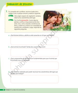 1.	 En compañía de tu profesor, recorre el patio de tu
colegio o de un parque cercano y realiza lo siguiente:
Paso 1 	 Ubica algún espacio de vegetación variada y
observa las características del lugar.
Paso 2 	 Con mucha precaución, mueve algunas
plantas y verifica si hay presencia de otros
seres vivos, como caracoles o lombrices de
tierra, y observa su entorno sin necesidad de
sacarlos de su ambiente. Luego, responde las
siguientes preguntas.
a.	 ¿Qué factores bióticos y abióticos están presentes en el lugar que elegiste?
b.	 ¿Qué animal encontraste? Señala dos características de él.
c.	 ¿Qué componentes del ambiente son fundamentales para que el animal que
encontraste viva y se desarrolle?
d.	 ¿Qué acciones realizaste para poder reconocer las características del lugar que
elegiste para trabajar?
Evaluación de proceso
Unidad 2 • La vida en los ecosistemas88
Prohibida
su
reproducción
 