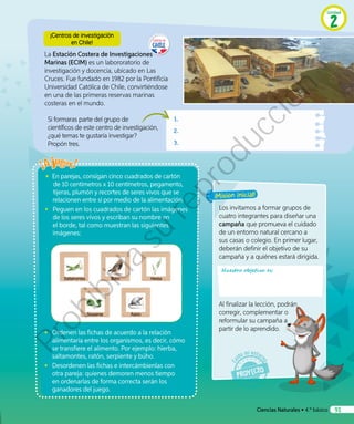 La Estación Costera de Investigaciones
Marinas (ECIM) es un labororatorio de
investigación y docencia, ubicado en Las
Cruces. Fue fundado en 1982 por la Pontificia
Universidad Católica de Chile, convirtiéndose
en una de las primeras reservas marinas
costeras en el mundo.
¡Misión inicial!
Los invitamos a formar grupos de
cuatro integrantes para diseñar una
campaña que promueva el cuidado
de un entorno natural cercano a
sus casas o colegio. En primer lugar,
deberán definir el objetivo de su
campaña y a quiénes estará dirigida.
Al finalizar la lección, podrán
corregir, complementar o
reformular su campaña a
partir de lo aprendido.
Si formaras parte del grupo de
científicos de este centro de investigación,
¿qué temas te gustaría investigar?
Propón tres.
1.
2.
3.
Nuestro objetivo es:
¡Centros de investigación
en Chile!
•	 En parejas, consigan cinco cuadrados de cartón
de 10 centímetros x 10 centímetros, pegamento,
tijeras, plumón y recortes de seres vivos que se
relacionen entre sí por medio de la alimentación.
•	 Peguen en los cuadrados de cartón las imágenes
de los seres vivos y escriban su nombre en
el borde, tal como muestran las siguientes
imágenes:
Búho Hierba
Serpiente Ratón
Saltamontes
•	 Ordenen las fichas de acuerdo a la relación
alimentaria entre los organismos, es decir, cómo
se transfiere el alimento. Por ejemplo: hierba,
saltamontes, ratón, serpiente y búho.
•	 Desordenen las fichas e intercámbienlas con
otra pareja: quienes demoren menos tiempo
en ordenarlas de forma correcta serán los
ganadores del juego.
Unidad
2
Ciencias Naturales • 4.º básico 91
Prohibida
su
reproducción
 