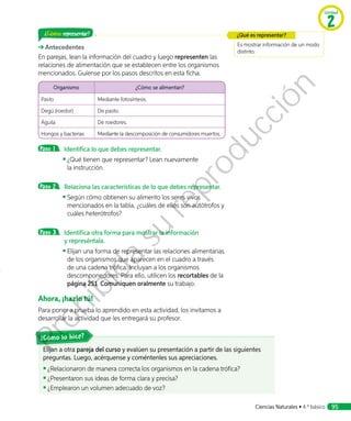 Elijan a otra pareja del curso y evalúen su presentación a partir de las siguientes
preguntas. Luego, acérquense y coméntenles sus apreciaciones.
◾◾ ¿Relacionaron de manera correcta los organismos en la cadena trófica?
◾◾ 	¿Presentaron sus ideas de forma clara y precisa?
◾◾ ¿Emplearon un volumen adecuado de voz?
¿Cómo representar?
Antecedentes
En parejas, lean la información del cuadro y luego representen las
relaciones de alimentación que se establecen entre los organismos
mencionados. Guíense por los pasos descritos en esta ficha.
Organismo ¿Cómo se alimentan?
Pasto Mediante fotosíntesis.
Degú (roedor) De pasto.
Águila De roedores.
Hongos y bacterias Mediante la descomposición de consumidores muertos.
Paso 1 	 Identifica lo que debes representar.
◾◾ ¿Qué tienen que representar? Lean nuevamente
la instrucción.
Paso 2 	 Relaciona las características de lo que debes representar.
◾◾ Según cómo obtienen su alimento los seres vivos
mencionados en la tabla, ¿cuáles de ellos son autótrofos y
cuáles heterótrofos?
Paso 3 	 Identifica otra forma para mostrar la información
y represéntala.
◾◾ Elijan una forma de representar las relaciones alimentarias
de los organismos que aparecen en el cuadro a través
de una cadena trófica. Incluyan a los organismos
descomponedores. Para ello, utilicen los recortables de la
página 251. Comuniquen oralmente su trabajo.
Ahora, ¡hazlo tú!
Para poner a prueba lo aprendido en esta actividad, los invitamos a
desarrollar la actividad que les entregará su profesor.
Es mostrar información de un modo
distinto.
¿Qué es representar?
¿Cómo lo hice?
Unidad
2
Ciencias Naturales • 4.º básico 95
Prohibida
su
reproducción
 