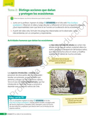 Tema 2:	 Distingo acciones que dañan
y protegen los ecosistemas
Antes de empezar, escucha las indicaciones que te dará tu profesor.
a.	 Junto con tu profesor, ingresen el código 18TN4B098a en el sitio web http://codigos.
auladigital.cl. Observen el video y luego discutan y reflexionen en torno a la siguiente pregunta:
¿Qué responsabilidad creen que tiene el ser humano en la alteración de los ecosistemas?
b.	A partir del video visto, formulen tres preguntas relacionadas con lo observado. Luego,
intercámbienlas con un compañero y respóndanlas.
Actividades humanas que dañan los ecosistemas
Las especies introducidas o exóticas que
provienen de otras partes del mundo pueden
resultar una amenaza, ya que compiten por
alimento y refugio con los organismos nativos.
Tal es el caso del visón norteamericano, que fue
introducido en Tierra del Fuego y comenzó a
depredar aves y roedores nativos de Chile.
Con un compañero ingresen el código 18TN4B098b en el sitio
web http://codigos.auladigital.cl, donde podrán acceder a la página web
del Servicio Agrónomo y Ganadero (SAG). Averigüen cuál es la función
de esta institución y expliquen qué relación tiene con la introducción de
especies exóticas.
rabajo con las TIC
Averigua qué otros animales
o plantas que han sido
introducidos en Chile.
¿Qué efecto tiene la tala de
los organismos productores para las
cadenas tróficas?
La tala indiscriminada de árboles (se cortan más
árboles de los que se vuelven a plantar) altera los
suelos, produce la desaparición del bosque nativo,
que demora muchos años en crecer, y modifica
seriamente el hábitat de muchos animales.
Lección 2
Unidad 2 • La vida en los ecosistemas98
Prohibida
su
reproducción
 