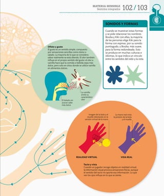 102 103
MATERIA SENSIBLE
Sentidos integrados
VIDA REAL
Cuando se muestran estas formas
y se pide relacionar los nombres
Bouba y Kiki con ellas, la mayoría
de las personas elige Kiki para la
forma con espinas, por su sonido
puntiagudo, y Bouba, más suave,
para la forma redondeada. Esto
se produce en muchas culturas e
idiomas, lo que indica un vínculo
entre los sentidos del oído y la vista.
SONIDOS Y FORMAS
Olfato y gusto
El gusto es un sentido simple, compuesto
por sensaciones sencillas como dulce o
salado. La mayoría de lo que se considera
sabor realmente se está oliendo. El olor también
influye en el propio sentido del gusto: el olor a
vainilla hace que la comida o bebida sepa más
dulce, pero solo en sitios donde se utilice vainilla
en alimentos dulces.
La vainilla
emite su
característico
olor
El helado sin
azúcar sabe
más dulce
REALIDAD VIRTUAL
La mano real nota
la presión de la bola
y el muelle
Imagen de la bola y el
muelle rebotando en la
versión virtual de la mano
Tacto y vista
Cuando un jugador recoge objetos en realidad virtual,
la información visual provoca sensaciones físicas, aunque
el sentido del tacto no aporte esa información. Lo que
ven los ojos influye en lo que se siente.
 