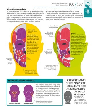 MATERIA SENSIBLE
Leer la expresión 106 107
Músculos expresivos
La cara tiene músculos que tiran de la piel y cambian
la forma de los ojos y la posición de los labios, haciendo
que sea muy expresiva. La capacidad de identificar
estas expresiones en otros rostros permite juzgar
el humor y las intenciones de los demás. Los rostros
indican cuándo se puede pedir un favor, dejar a
alguien solo porque lo necesita u ofrecer ayuda.
Captar incluso las pistas más sutiles, como fruncir el
ceño o curvar el labio, nos ayuda a saber interpretar
adecuadamente cuándo una expresión es una mueca
seria o una sonrisa burlona.
CON AUTISMO
MIRADA HABITUAL
MIRADA Y CONTACTO VISUAL
Las personas con autismo (ver p. 246)
no se suelen fijar en los ojos y la boca
al mirar rostros. Les cuesta socializar
y es posible que no detecten las pistas
visuales de la comunicación. Detectar
esta mirada perdida en bebés podría
utilizarse como signo de alerta precoz
del autismo.
Fruncir el ceño
Al fruncir el ceño, el
corrugador superciliar
tira de las cejas abajo
y arruga la piel entre
ellas. A su vez, el
orbicular de los ojos
entorna los ojos y
una red de músculos,
incluido el depresor
del ángulo de la boca,
baja las comisuras
de los labios.
Los afectados de autismo tienen
pautas de observación distintas
El corrugador
superciliar frunce
el ceño
Músculo frontal
inactivo al sonreír
El depresor tira hacia
abajo de la boca y las
comisuras de los labios
El músculo
orbicular
ocular
entorna
los ojos
El músculo
elevador tira del
labio superior
hacia arriba
Sonreír
Al sonreír, el cigomático
mayor tira de las puntas
de la boca arriba y afuera.
Las sonrisas auténticas
también activan el
orbicular de los ojos y
hará que estos se arruguen,
al contrario que las sonrisas
falsas. Cada persona usa
músculos diferentes al
sonreír: en lo que en una
es una sonrisa alegre,
en otra puede ser una
mueca burlona.
El cigomático mayor
tira de la boca y las
comisuras de los labios
arriba y al lado
Una sonrisa
genuina emplea
el orbicular de
los ojos
LAS EXPRESIONES
DE LOS CIEGOS DE
NACIMIENTO SON
LAS MISMAS QUE
LAS DE LOS
VIDENTES
CUANDO
MUESTRAN
EMOCIONES
 