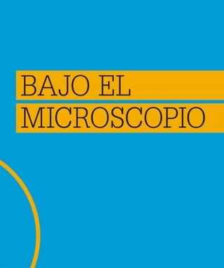 BAJO EL
MICROSCOPIO
 