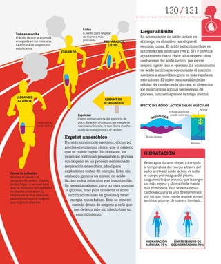 130 131
El músculo no se
puede contraer
Miosina
Actina
Ácido láctico
Beber agua durante el ejercicio regula
la temperatura del cuerpo a través del
sudor y retira el ácido láctico. Al sudar
el cuerpo pierde agua del plasma
sanguíneo, lo que provoca que la sangre
sea más espesa y al corazón le cueste
más bombearla. Esto se llama deriva
cardiovascular y es uno de los motivos
por los que no se puede respirar a nivel
aeróbico y correr de manera ilimitada.
HIDRATACIÓN
Llegar al límite
La acumulación de ácido láctico en
el cuerpo es el motivo por el que el
ejercicio cansa. El ácido láctico interfiere en
la contracción muscular (ver p. 57) y provoca
agotamiento físico. Hace falta oxígeno para
deshacerse del ácido láctico; por eso se
respira rápido tras el ejercicio. La acumulación
de ácido láctico aparece durante el ejercicio
aeróbico y anaeróbico, pero es más rápida en
este último. El único combustible de las
células del cerebro es la glucosa; si al ejercitar
los músculos se agotan las reservas de
glucosa, también aparece la fatiga mental.
HIDRATACIÓN
MÁXIMA: 75%
LÍMITE SEGURO DE
DESHIDRATACIÓN:70%
Listos
A punto para respirar
de manera más
profunda.
Todo en marcha
El ácido láctico se acumula
enseguida en los músculos.
La entrada de oxígeno no
es suficiente.
Punto de inflexión
Aparece el mareo y la
sensación de «ardor». El ácido
láctico llegará a un nivel en el
que los músculos sencillamente
no pueden contraerse. La
respiración es muy profunda
para obtener todo el oxígeno
que se pueda absorber.
Esprintar
Como consecuencia del ejercicio de
poca duración, el cuerpo crea energía de
manera ineficiente, lo que libera mucho
ácido láctico y provoca el «ardor».
Nivel alto de
ácido láctico
Esprint anaeróbico
Durante un ejercicio agotador, el cuerpo
precisa energía más rápido que el oxígeno
que se puede captar. No obstante, los
músculos continúan procesando la glucosa
sin oxígeno en un proceso denominado
respiración anaeróbica, ideal para
explosiones cortas de energía. Esto, sin
embargo, genera un exceso de ácido
láctico en los músculos y es insostenible.
Se necesita oxígeno, pero no para quemar
la glucosa, sino para convertir el ácido
láctico acumulado en glucosa y tener
energía en un futuro. Esto se conoce
como la deuda de oxígeno y es lo que
nos deja un rato sin aliento tras un
esprint intenso.
LLEGANDO
AL LÍMITE
ESFUERZO
PREPARADOS,
LISTOS...
ESPRINT DE
30 SEGUNDOS
MÚSCULOS
EFECTO DEL ÁCIDO LÁCTICO EN LOS MÚSCULOS
 