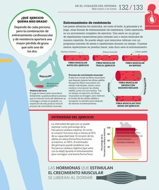 EN EL CORAZÓN DEL SISTEMA
Más fuerte y en forma 132 133
Proceso de crecimiento muscular
El ejercicio rompe las fibras musculares
que después reparan las células satélite.
Aunque las fibras musculares son
células individuales, tienen varios
núcleos e incorporan las células
satélite, junto con sus núcleos. Tras
un tiempo sin ejercicio, las fibras
musculares se encogen, pero retienen
el núcleo de las células satélite y
recuperan su tamaño poco después
de retomar el entrenamiento.
Postura del arco
El yoga es bueno para muscularse
lentamente. La postura del arco provoca
que el músculo recto del abdomen se
contraiga y rompa un poquito. La
repetición de esta postura inicia el
proceso de crecimiento muscular.
Entrenamiento de resistencia
Las pesas refuerzan los músculos, así como el baile, la gimnasia y el
yoga, otras formas de entrenamiento de resistencia. Cada repetición
es un movimiento completo de ejercicio. Una serie es un grupo
de repeticiones consecutivas para contraer uno o varios músculos de
manera repetida. Se puede elegir qué músculos reforzar con un
programa concreto de series y repeticiones durante un tiempo. Cuantas
menos repeticiones se puedan hacer, más duro será el entrenamiento.
Músculo recto
del abdomen
INTENSIDAD DEL EJERCICIO
Célula satélite
Rotura muscular
Núcleos celulares
LAS HORMONAS QUE ESTIMULAN
EL CRECIMIENTO MUSCULAR
SE LIBERAN AL DORMIR
La intensidad del ejercicio se puede
expresar como porcentaje de la
frecuencia cardiaca máxima. Al correr,
el corazón funciona más o menos al 50%
de su capacidad total. El corazón de los
atletas en plena forma física funciona
al máximo, al 100%. El entrenador
del gimnasio puede establecer una
frecuencia cardiaca objetivo (que varía
con la edad) durante el entrenamiento
para conseguir una buena forma física.
100
80
60
40
Porcentaje
de
la
frecuencia
cardiaca
máxima
Actividad moderada
Control del peso
Entrenamiento cardiovascular
Entrenamiento anaeróbico
Entrenamiento máximo
FIBRA MUSCULAR
ANTES DEL EJERCICIO
FIBRA MUSCULAR
TRAS EL EJERCICIO
FIBRA MUSCULAR
EN REPOSO
FIBRA MUSCULAR
GRUESA CON
MUCHOS NÚCLEOS
FIBRA MUSCULAR TRAS
MESES SIN EJERCICIO
REPETICIÓN
¿QUÉ EJERCICIO
QUEMA MÁS GRASA?
Depende de cada persona,
pero la combinación de
entrenamiento cardiovascular
y de resistencia aportará una
mayor pérdida de grasa
que solo uno de
los dos.
P
É
R
D
I
D
A
R
E
C
U
P
E
R
A
C
I
Ó
N
 