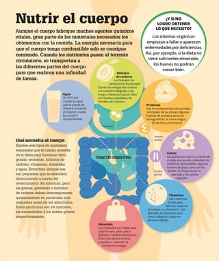 Nutrir el cuerpo
Aunque el cuerpo fabrique muchos agentes químicos
vitales, gran parte de los materiales necesarios los
obtenemos con la comida. La energía necesaria para
que el cuerpo tenga combustible solo se consigue
comiendo. Cuando los nutrientes pasan al torrente
circulatorio, se transportan a
las diferentes partes del cuerpo
para que realicen una infinidad
de tareas.
Qué necesita el cuerpo
Existen seis tipos de nutrientes
esenciales que el cuerpo necesita
en la dieta para funcionar bien:
grasas, proteínas, hidratos de
carbono, vitaminas, minerales
y agua. Estos tres últimos son
tan pequeños que se absorben
directamente a través del
revestimiento del intestino, pero
las grasas, proteínas e hidratos
de carbono deben descomponerse
químicamente en partículas más
pequeñas antes de ser absorbidos.
Estas partículas son los azúcares,
los aminoácidos y los ácidos grasos,
respectivamente.
Agua
Un 65% del
cuerpo es agua,
que se pierde de
manera constante
al respirar y sudar.
Es crucial ir
recuperándola.
Minerales
Los minerales son vitales para
crear huesos, pelo, piel y
glóbulos. También potencian
la función de los nervios
y ayudan a convertir la
comida en energía.
Vitaminas
Las vitaminas
sirven para
fabricar cosas en
el cuerpo. La vitamina C, por
ejemplo, es necesaria para
crear colágeno, usado en
diversos tejidos.
Grasas
Las grasas son una rica fuente de
energía que ayuda a absorber las
vitaminas liposolubles. Algunas
fuentes de grasa sana son los
lácteos, los frutos secos, el
pescado y los aceites
vegetales.
Proteínas
Son los componentes estructurales
principales de las células. Algunas
fuentes de proteína sana son
las legumbres, la carne magra,
los lácteos y los huevos.
Hidratos
de carbono
Los hidratos de
carbono son la principal
fuente de energía del cerebro.
Los cereales integrales y las
frutas y verduras ricas en fibra
son fuentes saludables de
hidratos de carbono.
TRACTO DIGESTIVO
Azúcares
Amino-
ácidos
Ácidos
grasos
¿Y SI NO
LOGRO OBTENER
LO QUE NECESITO?
Los sistemas orgánicos
empiezan a fallar y aparecen
enfermedades por deficiencias.
Así, por ejemplo, si la dieta no
tiene suficientes minerales,
los huesos no podrán
crecer bien.
 