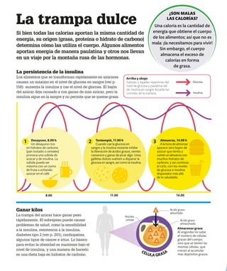 La trampa dulce
Si bien todas las calorías aportan la misma cantidad de
energía, su origen (grasa, proteína o hidrato de carbono)
determina cómo las utiliza el cuerpo. Algunos alimentos
aportan energía de manera paulatina y otros nos llevan
en un viaje por la montaña rusa de las hormonas.
La persistencia de la insulina
Los alimentos que se transforman rápidamente en azúcares
causan un máximo en el nivel de glucosa en sangre (ver p.
158): aumenta la insulina y cae el nivel de glucosa. El bajón
del azúcar deja cansado y con ganas de más azúcar, pero la
insulina sigue en la sangre y no permite que se queme grasa.
Almacenar grasa
Al engordar no sube
el número de células
grasas del cuerpo,
sino que se tienen las
mismas células, que
crecen al acumular
más depósitos grasos.
8.00 11.00 14.00
Ganar kilos
La trampa del azúcar hace ganar peso
rápidamente. El sobrepeso puede causar
problemas de salud, como la sensibilidad
a la insulina, resistencia a la insulina,
diabetes tipo 2 (ver p. 201), cardiopatías,
algunos tipos de cáncer e ictus. Lo básico
para evitar la obesidad es mantener bajo el
nivel de insulina, y una manera de hacerlo
es una dieta baja en hidratos de carbono.
Ácido graso
absorbido
Ácido graso
almacenado
Núcleo
celular
Arriba y abajo
Subidas y bajadas repentinas del
nivel de glucosa y paulatina del
de insulina en sangre durante las
comidas de la mañana.
Glucosa
Insulina
¿SON MALAS
LAS CALORÍAS?
Una caloría es la cantidad de
energía que obtiene el cuerpo
de los alimentos; así que no es
mala: ¡la necesitamos para vivir!
Sin embargo, el cuerpo
almacena el exceso de
calorías en forma
de grasa.
Desayuno, 8.00 h
Un desayuno rico
en hidratos de carbono
(pan tostado o cereales)
provoca una subida de
azúcar y de insulina. La
subida puede ser
máxima con un zumo
de fruta o echando
azúcar en el café.
Tentempié, 11.00 h
Cuando cae la glucosa en
sangre y la insulina restante inhibe
la liberación de ácidos grasos, sientes
cansancio y ganas de picar algo. Unas
galletas dulces vuelven a disparar la
glucosa en sangre, así como la insulina.
Almuerzo, 14.00 h
A la hora de almorzar
aparece otro bajón de
azúcar que tienta a
comerunalmuerzocon
muchos hidratos de
carbono, y así continúa
el ciclo, con los niveles
de glucosa e insulina
disparados más allá
de lo saludable.
1 2 3
CÉLULA GRASA
 