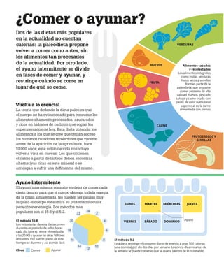 Vuelta a lo esencial
La teoría que defiende la dieta paleo es que
el cuerpo no ha evolucionado para consumir los
alimentos altamente procesados, azucarados
y ricos en hidratos de carbono que copan los
supermercados de hoy. Esta dieta potencia los
alimentos a los que se cree que tenían acceso
los humanos cazadores recolectores que vivieron
antes de la aparición de la agricultura, hace
10 000 años; este estilo de vida no incluye
volver a vivir en cuevas. Los que obtienen
el calcio a partir de lácteos deben encontrar
alternativas ricas en este mineral o se
arriesgan a sufrir una deficiencia del mismo.
¿Comer o ayunar?
Dos de las dietas más populares
en la actualidad no cuentan
calorías: la paleodieta propone
volver a comer como antes, sin
los alimentos tan procesados
de la actualidad. Por otro lado,
el ayuno intermitente se divide
en fases de comer y ayunar, y
restringe cuándo se come en
lugar de qué se come.
El método 16:8
Los entusiastas de esta dieta comen
durante un período de ocho horas
cada día (por ej., entre el mediodía
y las 20.00) y ayunan las otras 16 horas
restantes. Por suerte, parte de este
tiempo se duerme y así es más fácil.
El método 5:2
Esta dieta restringe el consumo diario de energía a unas 500 calorías
(una comida) por día dos días por semana. Los cinco días restantes de
la semana se puede comer lo que se quiera (dentro de lo razonable).
LUNES
VIERNES
MARTES
SÁBADO
MIÉRCOLES
DOMINGO
JUEVES
Ayuno
VERDURAS
CARNE
FRUTA
HUEVOS
FRUTOS SECOS Y
SEMILLAS
6
18
20
22
24
14
16 8
4
2
10
12
Alimentos cazados
y recolectados
Los alimentos integrales,
como frutas, verduras,
frutos secos y semillas
forman parte de la
paleodieta, que propone
comer proteína de alta
calidad: huevos, pescado
salvaje y carne criada con
pasto, de valor nutricional
superior al de la carne
alimentada con pienso.
Clave Comer Ayunar
Ayuno intermitente
El ayuno intermitente consiste en dejar de comer cada
cierto tiempo, para que el cuerpo obtenga toda la energía
de la grasa almacenada. No pueden ser pausas muy
largas o el cuerpo consumirá su proteína muscular
para obtener energía. Los métodos más
populares son el 16:8 y el 5:2.
 