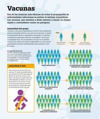 Inmunidad del grupo
Vacunar a una parte significativa (un 80%) de la población
aporta inmunidad incluso a los que no se vacunan. Cuando
la enfermedad afecta a individuos vacunados, su sistema
inmunitario preparado destruye el patógeno y evita que
se propague más. Así se protege a los que no se pueden
vacunar por motivos de edad o enfermedad. La vacunación
generalizada erradica enfermedades para siempre, como
la viruela.
Vacunas
Una de las maneras más eficaces de evitar la propagación de
enfermedades infecciosas es activar el sistema inmunitario
con vacunas, que enseñan a dicho sistema a lanzar un ataque
rápido y contundente contra un patógeno.
NADIE INMUNIZADO LA ENFERMEDAD CONTAGIOSA SE
PROPAGA EN LA POBLACIÓN
Hay cierta controversia sobre las
vacunas. El miedo a posibles efectos
secundarios ha hecho que algunos
padres no quieran vacunar a sus
hijos. Esto ha provocado brotes de
enfermedades evitables, como el
sarampión y la tos ferina. Si solo
se vacuna una pequeña porción
de la población, queda afectada
la inmunidad de todo el grupo.
¿VACUNAR O NO?
LA ENFERMEDAD CONTAGIOSA SE
PROPAGA EN PARTE DE LA POBLACIÓN
PARTE DE LA POBLACIÓN SE
INMUNIZA
LA MAYORÍA DE LA
POBLACIÓN SE INMUNIZA
SE EVITA LA PROPAGACIÓN DE
LA ENFERMEDAD CONTAGIOSA
La seguridad ante todo
Las enfermedades contagiosas se evitan
si se vacuna a un número suficiente de
personas. La vacunación también ayuda
a los que tienen un trastorno médico
que puede empeorar por los efectos
de la enfermedad.
Clave
No inmunizado,
pero aún sano
Inmunizado
y sano
No inmunizado,
enfermo y contagioso
 
