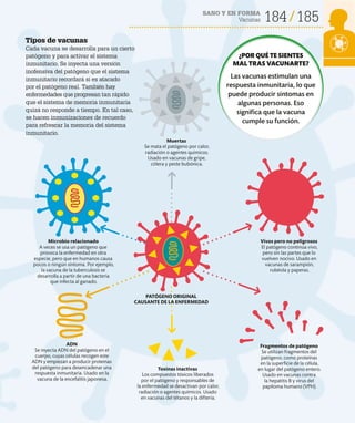SANO Y EN FORMA
Vacunas 184 185
Muertas
Se mata el patógeno por calor,
radiación o agentes químicos.
Usado en vacunas de gripe,
cólera y peste bubónica.
Fragmentos de patógeno
Se utilizan fragmentos del
patógeno, como proteínas
en la superficie de la célula,
en lugar del patógeno entero.
Usado en vacunas contra
la hepatitis B y virus del
papiloma humano (VPH).
Toxinas inactivas
Los compuestos tóxicos liberados
por el patógeno y responsables de
la enfermedad se desactivan por calor,
radiación o agentes químicos. Usado
en vacunas del tétanos y la difteria.
ADN
Se inyecta ADN del patógeno en el
cuerpo, cuyas células recogen este
ADN y empiezan a producir proteínas
del patógeno para desencadenar una
respuesta inmunitaria. Usado en la
vacuna de la encefalitis japonesa.
Vivos pero no peligrosos
El patógeno continúa vivo,
pero sin las partes que lo
vuelven nocivo. Usado en
vacunas de sarampión,
rubéola y paperas.
Microbio relacionado
A veces se usa un patógeno que
provoca la enfermedad en otra
especie, pero que en humanos causa
pocos o ningún síntoma. Por ejemplo,
la vacuna de la tuberculosis se
desarrolla a partir de una bacteria
que infecta al ganado.
Tipos de vacunas
Cada vacuna se desarrolla para un cierto
patógeno y para activar el sistema
inmunitario. Se inyecta una versión
inofensiva del patógeno que el sistema
inmunitario recordará si es atacado
por el patógeno real. También hay
enfermedades que progresan tan rápido
que el sistema de memoria inmunitaria
quizá no responde a tiempo. En tal caso,
se hacen inmunizaciones de recuerdo
para refrescar la memoria del sistema
inmunitario.
PATÓGENO ORIGINAL
CAUSANTE DE LA ENFERMEDAD
¿POR QUÉ TE SIENTES
MAL TRAS VACUNARTE?
Las vacunas estimulan una
respuesta inmunitaria, lo que
puede producir síntomas en
algunas personas. Eso
significa que la vacuna
cumple su función.
 