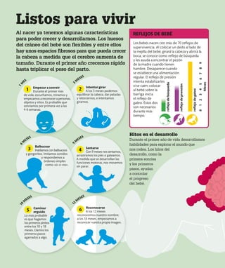 Los bebés nacen con más de 70 reflejos de
supervivencia. Al colocar un dedo al lado de
la mejilla del bebé, girará la cabeza y abrirá la
boca; se conoce como reflejo de búsqueda
y les ayuda a encontrar el pezón
de la madre cuando tienen
hambre. Desaparece cuando
se establece una alimentación
regular. El reflejo de presión
intenta estabilizarles
si se caen; colocar
al bebé sobre la
barriga inicia
el reflejo de
gateo. Estos dos
son necesarios
durante más
tiempo.
Listos para vivir
Al nacer ya tenemos algunas características
para poder crecer y desarrollarnos. Los huesos
del cráneo del bebé son flexibles y entre ellos
hay unos espacios fibrosos para que pueda crecer
la cabeza a medida que el cerebro aumenta de
tamaño. Durante el primer año crecemos rápido
hasta triplicar el peso del parto.
reflejo
de
búsqueda
reflejo
de
prensión
reflejo
de
gateo
Meses
1
0
4
2
5
6
7
8
9
3
REFLEJOS DE BEBÉ
Hitos en el desarrollo
Durante el primer año de vida desarrollamos
habilidades para explorar el mundo que
nos rodea. Los hitos del
desarrollo, como la
primera sonrisa
y los primeros
pasos, ayudan
a controlar
el progreso
del bebé.
2
1
1
M
ES
3
M
ESES
Empezar a sonreír
Durante el primer mes
de vida, escuchamos, miramos y
empezamos a reconocer a personas,
objetos y sitios. Es probable que
sonriamos por primera vez a las
4-6 semanas.
6
M
ESES
9
M
ESES
1
0
M
ESES
1
2
M
ESES
Reconocerse
A los 12 meses
reconocemos nuestro nombre;
a los 18 meses, empezamos a
reconocer nuestra propia imagen.
Caminar
erguido
Lo más probable
es que hagamos
los primeros pinitos
entre los 10 y 18
meses. Damos los
primeros pasos
agarrados a algo.
Sentarse
Con 9 meses nos sentamos,
arrastramos los pies o gateamos.
A medida que se desarrollan las
funciones motoras, nos movemos
sin parar.
Balbucear
Hablamos con balbuceos
y gorgoritos. Imitamos sonidos
y respondemos a
órdenes simples
como «sí» o «no».
6
5
4
3
Intentar girar
A los 3 meses podemos
equilibrar la cabeza, dar patadas
y retorcernos, e intentamos
girarnos.
 