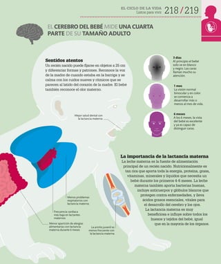 EL CICLO DE LA VIDA
Listos para vivir 218 219
Sentidos atentos
Un recién nacido puede fijarse en objetos a 25 cm
y diferenciar formas y patrones. Reconoce la voz
de la madre de cuando estaba en la barriga y se
calma con los ruidos suaves y rítmicos que se
parecen al latido del corazón de la madre. El bebé
también reconoce el olor materno.
La importancia de la lactancia materna
La leche materna es la fuente de alimentación
principal de un recién nacido. Nutricionalmente es
tan rica que aporta toda la energía, proteína, grasa,
vitaminas, minerales y líquidos que necesita un
bebé durante los primeros 4-6 meses. La leche
materna también aporta bacterias buenas,
incluye anticuerpos y glóbulos blancos que
protegen contra enfermedades, y lleva
ácidos grasos esenciales, vitales para
el desarrollo del cerebro y los ojos.
La lactancia materna es muy
beneficiosa e influye sobre todos los
huesos y tejidos del bebé, igual
que en la mayoría de los órganos.
3 días
Al principio el bebé
solo ve en blanco
y negro. Las caras
llaman mucho su
atención.
1 mes
La visión normal
binocular y en color
se comienza a
desarrollar más o
menos al mes de vida.
6 meses
A los 6 meses, la vista
del bebé es excelente
y ya es capaz de
distinguir caras.
Menor aparición de alergias
alimentarias con lactancia
materna durante 6 meses
Frecuencia cardiaca
más baja en lactantes
maternos
Menos problemas
respiratorios con
lactancia materna
Mejor salud dental con
la lactancia materna
La artritis juvenil es
menos frecuente con
la lactancia materna
EL CEREBRO DEL BEBÉ MIDE UNA CUARTA
PARTE DE SU TAMAÑO ADULTO
 
