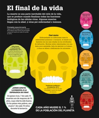 El final de la vida
La muerte es una parte inevitable del ciclo de la vida,
que se produce cuando finalizan todas las funciones
biológicas de las células vivas. Algunas muertes
llegan con la edad, y otras por enfermedad o lesiones.
VIH: 5 %
Las muertes
por el virus de la
inmunodeficiencia
humana baja año
tras año.
Principales causas de muerte
Según la OMS (Organización Mundial
de la Salud), estas fueron las principales
causas de muerte en todo el mundo
en 2012.
Infecciones
e insuficiencias
respiratorias: 16 %
El cáncer de pulmón y las
infecciones respiratorias
fueron la segunda causa
de muerte en 2012.
Enfermedades
diarreicas: 5 %
La diarrea crónica
es un riesgo letal de
deshidratación y
malnutrición.
Diabetes: 5 %
Los afectados de
diabetes pueden
morir por ictus o
cardiopatía a causa
de su trastorno.
Qué mata
Enfermedades no infecciosas como la
enfermedad pulmonar o coronaría, el cáncer y la
diabetes son las más citadas en los certificados
de defunción. Muchas están relacionadas con una
dieta poco saludable, falta de ejercicio y el tabaco,
y otras se deben a deficiencias de nutrientes.
CADA AÑO MUERE EL 1 %
DE LA POBLACIÓN DEL PLANETA
Trastornos cardiacos y
circulatorios: 60 %
Los infartos e ictus son las dos
principales causas de muerte
del planeta.
Accidentes
de tráfico: 5 %
Las muertes en
la carretera se
cobraron muchas
vidas en 2012.
Hipertensión
arterial: 4 %
La hipertensión
no tratada puede
ser letal.
¿CÓMO AFECTA
LA RIQUEZA A LA
ESPERANZA DE VIDA?
En países ricos, 7 de cada 10
muertes son de mayores de 70
años, cuya vida ha sido buena.
En los países más pobres, aún
muere 1 de cada 10 niños
durante la lactancia.
 