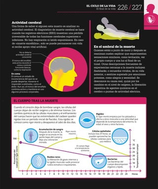 226 227
EL CICLO DE LA VIDA
El final de la vida
En el umbral de la muerte
Quienes están a punto de morir y después se
reaniman suelen explicar que experimentan
sensaciones similares, como levitación, ver
el propio cuerpo y una luz al final de un
túnel. Otras descripciones frecuentes de
experiencias cercanas a la muerte incluyen
flashbacks, o recuerdos vívidos, de su vida
anterior, o sentirse superado por emociones
potentes, como alegría y serenidad. Se
desconoce su causa real, quizá por los
cambios en el nivel de oxígeno, la liberación
repentina de agentes químicos en el
cerebro o puntas de actividad eléctrica.
Actividad cerebral
Una forma de saber si alguien esta muerto es analizar su
actividad cerebral. El diagnóstico de muerte cerebral se hace
cuando los registros eléctricos (EEG) muestran una pérdida
irreversible de todas las funciones cerebrales superiores e
inferiores. No hay respiración ni latido espontáneos. En caso
de «muerte encefálica», solo se puede permanecer con vida
si recibe apoyo vital artificial.
En coma
El coma es un estado de
inconsciencia del que no se
puede despertar, moverse ni
responder a estímulos, como el
dolor. Aun así, el tronco del encéfalo
continúa activo y mantiene en uso
algunos procesos corporales.
EL CUERPO TRAS LA MUERTE
No se detecta
actividad cerebral
consciente
El tronco del encéfalo
está activo durante el
coma y controla
funciones básicas,
como la respiración
El cuerpo llega
a la temperatura
ambiente
Cuando el corazón deja de bombear sangre, las células del
cuerpo dejan de recibir oxígeno y de eliminar toxinas. Los
cambios químicos de las células musculares y el enfriamiento
del cuerpo hacen que las extremidades del cadáver queden
rígidas tras un período inicial de flacidez. Esta rigidez se
conoce como rigor mortis y desaparece al cabo de dos días.
Porcentaje
del
cuerpo
en
rigor
mortis
Horas
°C
Temperatura
del
cuerpo
1 2 3 4 5 6 7 8 9 10 11 12 13 14 15 16 17 18 19 20 21 22 23
35
30
25
20
15
10
5
Ruidos raros
La liberación de gases internos y
la rigidez muscular suele provocar
ruidos extraños e inquietantes.
Rigidez
El rigor mortis empieza por los párpados y
afecta a otros músculos a una velocidad que
depende de la temperatura del entorno, la
edad, el sexo y otros factores.
Bacterias
Las bacterias del
cuerpo descomponen
órganos y tejido.
Acumulación de sangre
Después de la muerte, la
sangre se acumula en las
partes bajas del cuerpo y
deja una coloración
morada.
Células epiteliales
Incluso tras 24 horas, se
pueden aprovechar las
células cutáneas para
uso médico.
24
Rigor mortis
máximo
100
 