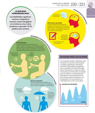 COSAS DE LA MENTE
Cómo aprendemos 230 231
APRENDER
QU
É
E
S
I
M
P
O
R
T
A
N
T
E
MOVIMIENTO APRENDID
O
(
M
O
T
R
I
C
I
D
A
D
)
RESPO
N
D
E
R
A
S
U
C
E
S
O
S
Automatización
Cuando aprendemos a conducir, nos
concentramos en nuestros movimientos y en el
tráfico. Gracias a la repetición, los movimientos
del cuerpo para conducir se aprenden y automatizan,
y podemos prestar atención a otras cosas a la vez.
Memoria episódica
Recordar experiencias pasadas nos
ayuda a evitar situaciones no deseables,
como olvidar el paraguas un día de lluvia.
Información aprendida
Cuando obtenemos información,
podemos conservarla en la memoria a
largo plazo si consideramos que vale la
pena, aunque esta decisión puede ser
consciente o inconsciente.
Información
memorizada
Concentración
absoluta en la
conducción
El recuerdo
de anteriores
experiencias
modifica la
conducta
Experiencia
de acabar
mojado
¿A QUÉ EDAD
APRENDEMOS MÁS?
Las habilidades cognitivas,
motoras y lingüísticas
avanzan a pasos de gigante
en la infancia: a los 2 años
tendemos a aprender 10-20
palabras por semana.
Información usada
en un examen
Los recuerdos tienden a debilitarse, pero
al traerlos a la memoria aumentamos
su solidez. Igualmente, revisando la
información aprendida conseguimos
que nos quede en la memoria a largo
plazo. Para retener, lo mejor es revisar
a menudo poca información. Al estudiar
para un examen o una presentación,
absorbemos mucha información en
poco tiempo, pero la perdemos si no
la repasamos. Por eso estudiar con
intensidad solo es útil a corto plazo.
ESTUDIAR PARA UN EXAMEN
Hablar
mientras
se conduce
TIEMPO
SOLIDEZ DEL RECUERDO
Si hace falta,
se accede a la
información
más adelante
 