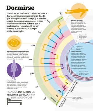 Dormirse
Dormir es un fenómeno curioso: se hace a
diario, pero no sabemos por qué. Puede
que sirva para que el cuerpo y el cerebro
tengan tiempo para repararse, retirar
toxinas acumuladas durante el día
o reforzar los recuerdos. Si no se
duerme lo suficiente, el cuerpo
acaba pagándolo.
Sonambulismo
El sonambulismo es más probable que
aparezca durante el sueño profundo,
pero se desconoce cuál es su causa.
Se puede caminar, comer ¡o incluso
conducir un coche!
Movimientos oculares rápidos (MOR)
La mayoría de los sueños se producen
durante la fase MOR. Es más probable
recordar los sueños si nos despertamos
en esta fase. Mientras se sueña, los ojos
se mueven bajo los párpados.
Deseo de dormir
Cuanto más se aguante
despierto, más ganas de ir
a dormir se tendrán. Esto
se produce por los altos
niveles de agentes químicos
como la adenosina que
genera el organismo y que
provocan el cansancio
inhibiendo las neuronas
del cerebro. En días activos
se produce más adenosina.
0:00
1:00
2:00
3:00
4:00
5:00
6
:
0
0
7
:
0
0
El deseo de dormir
es máximo a la hora
de irse a la cama
Es poco probable
pasar a sueño MOR
al principio
Tras una noche
de buen sueño,
baja la presión
por dormir
La adenosina
se descompone
al dormir
S
U
E
Ñ
O
L
I
G
E
R
O
S
U
E
Ñ
O
P
R
O
F
U
N
D
O
PASAMOS DORMIDOS UN
TERCIO DE LA VIDA, Y NO
SABEMOS POR QUÉ
D
E
S
PIERTO
M
OR
E
T
APA
1
E
TAPA
2
E
T
APA
3
E
T
APA
4
Parálisis del sueño
Durante la fase MOR los
músculos se paralizan para
no moverse en sueños.
Despertarse en esta etapa,
medio consciente pero
incapaz de moverse, suele
ser una experiencia
terrorífica.
 