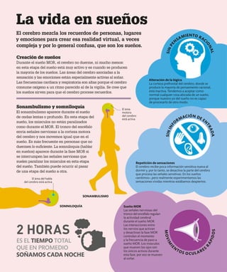 La vida en sueños
El cerebro mezcla los recuerdos de personas, lugares
y emociones para crear esa realidad virtual, a veces
compleja y por lo general confusa, que son los sueños.
SOMNILOQUÍA
SONAMBULISMO
El área del habla
del cerebro está activa
Alteración de la lógica
La corteza prefrontal del cerebro, donde se
produce la mayoría de pensamiento racional,
está inactiva. Tendemos a aceptar como
normal cualquier cosa alocada de un sueño,
porque nuestro yo del sueño no es capaz
de procesarlo de otro modo.
Sueño MOR
Las señales nerviosas del
tronco del encéfalo regulan
la actividad cerebral
durante el sueño MOR.
Las interacciones entre
los nervios que activan
y desactivan la fase MOR
controlan el momento
y la frecuencia de paso a
sueño MOR. Los músculos
que mueven los ojos son
los únicos activos durante
esta fase, por eso se mueven
al soñar.
Repetición de sensaciones
El cerebro recibe poca información sensitiva nueva al
dormir y, por lo tanto, se desactiva la parte del cerebro
que procesa las señales sensitivas. En los sueños
«sentimos», pero realmente experimentamos las
sensaciones vividas mientras estábamos despiertos.
El área
motora
del cerebro
está activa
Creación de sueños
Durante el sueño MOR, el cerebro no duerme, ni mucho menos:
en esta etapa del sueño está muy activo y es cuando se producen
la mayoría de los sueños. Las áreas del cerebro asociadas a la
sensación y las emociones están especialmente activas al soñar.
Las frecuencias cardiaca y respiratoria son altas porque el cerebro
consume oxígeno a un ritmo parecido al de la vigilia. Se cree que
los sueños sirven para que el cerebro procese recuerdos.
Sonambulismo y somniloquía
El sonambulismo aparece durante el sueño
de ondas lentas o profundo. En esta etapa del
sueño, los músculos no están paralizados
como durante el MOR. El tronco del encéfalo
envía señales nerviosas a la corteza motora
del cerebro y nos movemos igual que en el
sueño. Es más frecuente en personas que no
duermen lo suficiente. La somniloquía (hablar
en sueños) aparece durante la fase MOR si
se interrumpen las señales nerviosas que
suelen paralizar los músculos en esta etapa
del sueño. También puede ocurrir al pasar
de una etapa del sueño a otra.
2 HORAS
ES EL TIEMPO TOTAL
QUE EN PROMEDIO
SOÑAMOS CADA NOCHE
S
I
N
P
E
N
SAMIENTO RAC
I
O
N
A
L
M
O
V
I
M
I
EN
TOS OCULARES
R
Á
P
I
D
O
S
S
I
N
I
N
F
O
RMACIÓN DE EN
T
R
A
D
A
 