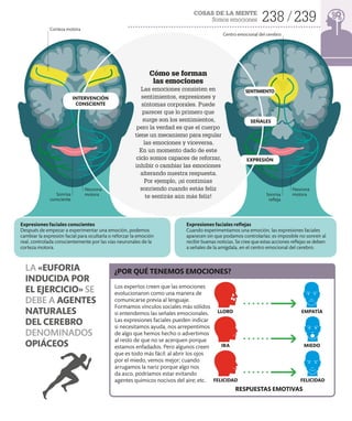 COSAS DE LA MENTE
Somos emociones 238 239
Cómo se forman
las emociones
Las emociones consisten en
sentimientos, expresiones y
síntomas corporales. Puede
parecer que lo primero que
surge son los sentimientos,
pero la verdad es que el cuerpo
tiene un mecanismo para regular
las emociones y viceversa.
En un momento dado de este
ciclo somos capaces de reforzar,
inhibir o cambiar las emociones
alterando nuestra respuesta.
Por ejemplo, ¡si continúas
sonriendo cuando estás feliz
te sentirás aún más feliz!
Neurona
motora
LA «EUFORIA
INDUCIDA POR
EL EJERCICIO» SE
DEBE A AGENTES
NATURALES
DEL CEREBRO
DENOMINADOS
OPIÁCEOS
EXPRESIÓN
INTERVENCIÓN
CONSCIENTE
SENTIMIENTO
SEÑALES
Neurona
motora
Centro emocional del cerebro
Corteza motora
Expresiones faciales reflejas
Cuando experimentamos una emoción, las expresiones faciales
aparecen sin que podamos controlarlas: es imposible no sonreír al
recibir buenas noticias. Se cree que estas acciones reflejas se deben
a señales de la amígdala, en el centro emocional del cerebro.
Expresiones faciales conscientes
Después de empezar a experimentar una emoción, podemos
cambiar la expresión facial para ocultarla o reforzar la emoción
real, controlada conscientemente por las vías neuronales de la
corteza motora.
Sonrisa
refleja
Sonrisa
consciente
¿POR QUÉ TENEMOS EMOCIONES?
Los expertos creen que las emociones
evolucionaron como una manera de
comunicarse previa al lenguaje.
Formamos vínculos sociales más sólidos
si entendemos las señales emocionales.
Las expresiones faciales pueden indicar
si necesitamos ayuda, nos arrepentimos
de algo que hemos hecho o advertimos
al resto de que no se acerquen porque
estamos enfadados. Pero algunos creen
que es todo más fácil: al abrir los ojos
por el miedo, vemos mejor; cuando
arrugamos la nariz porque algo nos
da asco, podríamos estar evitando
agentes químicos nocivos del aire; etc.
EMPATÍA
LLORO
MIEDO
IRA
FELICIDAD
FELICIDAD
RESPUESTAS EMOTIVAS
 