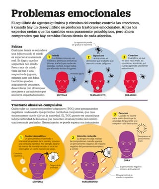 Desaparece el
pensamiento
malo
Curación
Cuando se ve que
no pasa nada malo, las
emociones se calman y el
cuerpo aprende a no temer
ese estímulo.
Curación
Cuando no ocurre
nada malo, disminuye la
ansiedad del paciente y se
rompe el ciclo destructivo.
Exposición
La única cura es
demostrar que el objeto que
aterroriza no es peligroso.
Atención reducida
La terapia no deja realizar
las compulsiones cuando aparece
un pensamiento negativo. El impacto
negativo del pensamiento empieza
a remitir.
1 3
2
El equilibrio de agentes químicos y circuitos del cerebro controla las emociones,
y cuando hay un desequilibrio se producen trastornos emocionales. Antes los
expertos creían que los cambios eran puramente psicológicos, pero ahora
comprenden que hay cambios físicos detrás de cada afección.
Trastorno obsesivo-compulsivo
Quien sufre un trastorno obsesivo-compulsivo (TOC) tiene pensamientos
negativos no deseados que provocan conductas compulsivas, que cree
erróneamente que le alivian la ansiedad. EL TOC parece ser causado por
la hiperactividad de las áreas que conectan el lóbulo frontal del cerebro
con áreas más profundas. Generalmente, se puede superar con tratamiento.
Fobias
Cualquier temor se considera
una fobia cuando el miedo
es superior a la amenaza
real. Es lógico que las
serpientes den miedo.
Pero si nos da miedo
verla en foto o una
serpiente de juguete,
estamos ante una fobia.
Las fobias pueden
adquirirse de pequeños,
desarrollarse con el tiempo o
asociarse a un incidente que
nos haya impactado mucho.
Problemas emocionales
Ansiedad aguda
SÍNTOMA
SÍNTOMA TRATAMIENTO
TRATAMIENTO CURACIÓN
CURA
La exposición puede
ser gradual o repentina
2
Desaparición de la
conducta repetitiva
El pensamiento negativo
empieza a desaparecer
Conducta repetitiva
Un pensamiento incómodo e
irracional se apodera de la mente y provoca
una conducta repetitiva. Por ejemplo, lavarse
las manos de manera excesiva o tocar un
interruptor un cierto número de veces.
Origen de la
ansiedad
Conducta
repetitiva
1
3
Miedo
Las fobias comunes son
más hacia amenazas evolutivas
(alturas, arañas) que modernas
(pistolas, coches), lo que indica
que el miedo está en los genes.
 