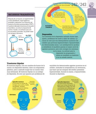 COSAS DE LA MENTE
Problemas emocionales 242 243
Rememorar
Rememorar
Depresión
Los síntomas de la depresión incluyen ánimo bajo,
apatía, problemas de sueño y dolor de cabeza. La
causa se cree que son desequilibrios químicos del
cerebro que provocan hiperactividad o hipoactividad
en determinadas áreas. Los antidepresivos ayudan
a restablecer el equilibrio gracias al mayor nivel de
agentes químicos, pero solo corrigen los síntomas,
no la causa. La actitud ante la
depresión ha progresado y
ahora se considera un trastorno
y no un estado mental.
ACTIVIDAD
CEREBRAL
Actividad de la corteza
prefrontal reducida; afecta
a la concentración, la memoria
y el procesamiento
El centro
emocional del
cerebro está muy
activo soportando
la ira, la tristeza y
el dolor
Después de un trauma, se experimentan
a veces flashbacks, hipervigilancia,
ansiedad y depresión: los síntomas del
trastorno de estrés postraumático (TEPT).
Cuando el afectado rememora el recuerdo
traumático, se activa la respuesta de
«lucha o huida», al contrario que con
los recuerdos normales. Se puede tratar
con terapia o fármacos.
RECUERDOS TRAUMÁTICOS
Sin TEPT
TEPT
Recuerdo
Suceso
Alegría
extrema
Aumenta
la actividad
química
Tristeza
extrema
SÍNTOMA SÍNTOMA
SINAPSIS SINAPSIS
Episodio maníaco
Es frecuente un exceso de
energía, poco sueño y habla
atropellada. También
pueden producirse delirios,
como creerse famoso.
Episodio depresivo
Se experimenta depresión
grave, que incluye sensación de
desesperación y fatiga. Son más
conscientes de la realidad que
durante el episodio maníaco.
Estrés
del suceso
Vuelve
el estrés
del suceso
Reducción de
la actividad
química
Trastorno bipolar
El trastorno bipolar, con sus cambios de humor de la
manía a la depresión extrema, tiene un componente
genético, pero a menudo surge tras un suceso vital
muy estresante. El trastorno bipolar es un subtipo
de depresión. Se cree que aparece por problemas de
equilibrio de determinados agentes químicos en el
cerebro, incluidas la norepinefrina y la serotonina,
que hace que las sinapsis del cerebro presenten
hiperactividad, durante la manía, o hipoactividad,
durante la depresión.
Tálamo activo, pues
vincula estímulos que
eran placenteros con
emociones negativas
 