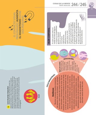 COSAS DE LA MENTE
Sentir atracción 244 245
Lazos
de
pareja
a
largo
plazo
Después
de
la
fase
de
atracción
inicial,
las
relaciones
cambian
y
cobra
importancia
un
conjunto
diferente
de
hormonas.
Tras
el
sexo
se
libera
oxitocina
y
aumentan
los
sentimientos
de
confianza
y
vínculo,
que
ayudan
a
establecer
las
relaciones.
Otra
hormona,
la
vasopresina,
es
igual
de
importante.
Se
libera
cuando
dos
personas
pasan
mucho
tiempo
juntos
y
promueve
la
monogamia.
3
OLOR
CORPORAL
EL
CONTACTO
VISUAL
PROLONGADO
AUMENTA
EL
MAGNETISMO
ENTRE
DOS
PERSONAS
Signos
de
cambio
Cuando
ovulan,
las
mujeres
presentan
cambios
sutiles
que
indican
su
fertilidad:
sube
el
tono
de
la
voz,
tienen
las
mejillas
rosadas
y
tienden
a
flirtear
más
y
vestir
de
manera
más
atractiva.
Sutilezas
Muchos
animales
hembra
muestran
de
manera
clara
su
fertilidad,
con
señales
potentes,
como
zonas
del
cuerpo
hinchadas
y
muy
coloradas
o
feromonas
en
la
orina.
En
los
humanos,
en
cambio,
la
ovulación
no
es
tan
obvia...
y
no
se
sabe
por
qué
hemos
evolucionado
así.
No
obstante,
las
mujeres
hacen
gala,
con
sutileza,
de
su
fertilidad:
flirtean
más
y
se
visten
de
manera
más
provocativa;
los
hombres
detectan
estas
señales
inconscientemente.
Un
estudio
demostró
que
los
hombres
liberan
más
testosterona
ante
el
olor
de
mujeres
ovulando
que
ante
el
olor
de
mujeres
en
otra
fase
menos
fértil
del
ciclo.
El
sudor
puede
indicar
el
estado
de
salud
de
alguien
o
incluso
su
compatibilidad
genética.
Quienes
tienen
un
sistema
inmunitario
relativamente
diferente
al
nuestro
suelen
tener
un
olor
más
atractivo,
ya
que
la
mezcla
de
genes
resultante
daría
lugar
a
una
descendencia
más
saludable.
En
general,
las
mujeres
prefieren
hombres
cuyo
olor
sea
algo
parecido
al
suyo,
en
lugar
de
uno
que
sea
genéticamente
idéntico
o
totalmente
diferente.
S
E
X
O
C
I
C
L
O
M
E
N
S
T
R
U
AL
OVULACIÓN
 