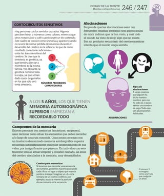 COSAS DE LA MENTE
Mentes extraordinarias 246 247
Camino para memorizar
Si tenemos que recordar una secuencia
de números, podemos hacerlo asociando
cada cifra a un lugar u objeto que veamos
yendo a trabajar. Imaginar un «3» en la
ventana de un coche o edificio, por
ejemplo, ayuda a retener la posición
de ese número en la secuencia.
Campeones de la memoria
Existen personas con memorias fantásticas; en general,
usan técnicas como situar los elementos que deben recordar
a lo largo de una ruta conocida. Unas pocas personas con
un trastorno denominado memoria autobiográfica superior
recuerdan automáticamente cualquier acontecimiento de sus
vidas, por insignificante que parezca. Un individuo con este
trastorno tenía el lóbulo temporal y el núcleo caudado, las áreas
del cerebro vinculadas a la memoria, muy desarrollados.
Alucinaciones
Sorprende que las alucinaciones sean tan
frecuentes: muchas personas cuya pareja acaba
de morir indican que la han visto, y casi todo
el mundo ha visto de reojo algo que no existe.
Son un producto secundario del cerebro mientras
intenta que el mundo tenga sentido.
3
8
9
4
1
1
El número 9
se imagina
como una fruta
que cuelga de
un árbol.
CORTOCIRCUITOS SENSITIVOS
1
3
2
NÚMEROS PERCIBIDOS
COMO COLORES
ALUCINACIONES
Tipos de
alucinaciones
A veces creemos
que alguien ha
dicho nuestro
nombre, pero no
ha sido así, o quizá
vemos una sombra
de reojo. Todo esto
son alucinaciones
habituales.
N
U
E
V
A
S
C
ONEXIONES NEU
R
O
N
A
L
E
S
A LOS 5 AÑOS, LOS QUE TIENEN
MEMORIA AUTOBIOGRÁFICA
SUPERIOR EMPIEZAN A
RECORDARLO TODO
Hay personas con los sentidos cruzados. Algunos
perciben letras o números como colores, mientras que
otros notan sabor a café cuando oyen un do sostenido.
Este cuadro se conoce como sinestesia y aparece cuando
no ocurre la normal pérdida de neuronas durante el
desarrollo del cerebro en la infancia, lo que da como
resultado conexiones adicionales
entre las áreas sensitivas del
cerebro. Se cree que la
sinestesia es genética, ya
que tiende a afectar a
miembros de la misma
familia. No obstante, la
genética no tiene toda
la culpa, ya que se han
dado casos de gemelos
en los que solo uno
tenía sinestesia.
 