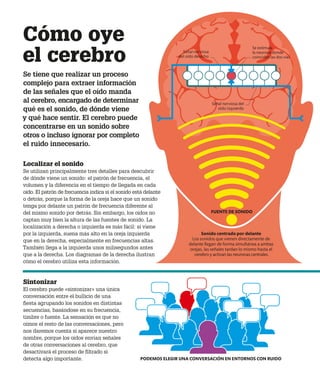Cómo oye
el cerebro
Se tiene que realizar un proceso
complejo para extraer información
de las señales que el oído manda
al cerebro, encargado de determinar
qué es el sonido, de dónde viene
y qué hace sentir. El cerebro puede
concentrarse en un sonido sobre
otros o incluso ignorar por completo
el ruido innecesario.
Localizar el sonido
Se utilizan principalmente tres detalles para descubrir
de dónde viene un sonido: el patrón de frecuencia, el
volumen y la diferencia en el tiempo de llegada en cada
oído. El patrón de frecuencia indica si el sonido está delante
o detrás, porque la forma de la oreja hace que un sonido
tenga por delante un patrón de frecuencia diferente al
del mismo sonido por detrás. Sin embargo, los oídos no
captan muy bien la altura de las fuentes de sonido. La
localización a derecha o izquierda es más fácil: si viene
por la izquierda, suena más alto en la oreja izquierda
que en la derecha, especialmente en frecuencias altas.
También llega a la izquierda unos milisegundos antes
que a la derecha. Los diagramas de la derecha ilustran
cómo el cerebro utiliza esta información.
Sintonizar
El cerebro puede «sintonizar» una única
conversación entre el bullicio de una
fiesta agrupando los sonidos en distintas
secuencias, basándose en su frecuencia,
timbre o fuente. La sensación es que no
oímos el resto de las conversaciones, pero
nos daremos cuenta si aparece nuestro
nombre, porque los oídos envían señales
de otras conversaciones al cerebro, que
desactivará el proceso de filtrado si
detecta algo importante.
Sonido centrado por delante
Los sonidos que vienen directamente de
delante llegan de forma simultánea a ambas
orejas, las señales tardan lo mismo hasta el
cerebro y activan las neuronas centrales.
Se estimula
la neurona donde
coinciden las dos vías
PODEMOS ELEGIR UNA CONVERSACIÓN EN ENTORNOS CON RUIDO
Señal nerviosa
del oído derecho
Señal nerviosa del
oído izquierdo
FUENTE DE SONIDO
 