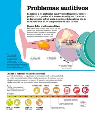Problemas auditivos
La sordera o los problemas auditivos son frecuentes, pero se
pueden tratar gracias a los avances tecnológicos. La mayoría
de las personas sufrirá algún tipo de pérdida auditiva con la
edad por daños en los componentes del oído interno.
Causas de los problemas auditivos
La sordera de nacimiento suele producirse por
mutaciones genéticas que alteran el buen
funcionamiento del oído. Los problemas
auditivos ilustrados se producen por
lesiones o afecciones durante la vida.
Las infecciones acumulan
líquido y los sonidos
parecen apagados
Un tapón no deja
que las vibraciones
lleguen al tímpano
Un tímpano dañado
no transmite bien
las vibraciones
Cuando el volumen está demasiado alto
La escala de decibelios es logarítmica: la energía del sonido se dobla cada 6 dB.
Los ruidos fuertes dañan las células ciliadas; por encima de un cierto nivel, las
células no pueden repararse y se mueren. Si muere un gran número de células
ciliadas, es posible que no se puedan captar determinadas frecuencias.
SUSURRO
10 20 30 40 50 60 70 80 90 100 110 120 130 140 150+
TIMBRE DEL
TELÉFONO
CONCIERTO DISPARO
TICTAC DE
UN RELOJ
CONVERSACIÓN
GUITARRA
ACÚSTICA
COCHE MOTO EXPLOSIÓN
Vías bloqueadas
El oído convierte
las ondas de sonido
del aire en señales
nerviosas que el
cerebro interpreta. Todo lo
que no deje funcionar este proceso,
como un bloqueo físico o una lesión,
causará problemas acústicos.
Daños
Cualquier sonido por encima
de los 85 dB puede causar daños,
según el tiempo de exposición.
DECIBELIOS
Ocho horas de exposición
a 85 dB puede dañar el oído
El ruido
sostenido a
140 dB causa
daños
inmediatos
15 minutos de exposición a
100 dB puede dañar el oído
Un minuto de exposición a
110 dB puede causar daños
CANAL
AUDITIVO OSÍCULOS
(HUESOS DEL OÍDO
MEDIO)
O
ÍD
O
M
EDIO
 