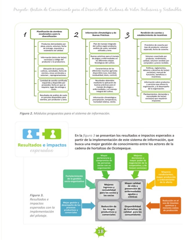 Cadenas de Valor 2.0 (Gestión del Conocimiento para el