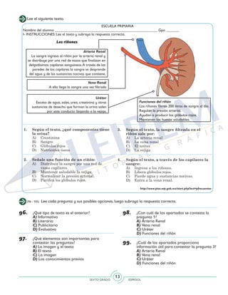 SEXTO GRADO ESPAÑOL
13
ESCUELA PRIMARIA
Nombre del alumno _______________________________________________________ Gpo _______
I- INSTRUCCIONES: Lee el texto y subraya la respuesta correcta.
1.	 Según el texto, ¿qué componentes tiene
la orina?
A)	Creatinina
B)	Sangre
C)	 Glóbulos rojos
D)	 Nutrientes óseos
2.	 Señale una función de un riñón:
A)	 Distribuir la sangre por una red de
vasos capilares.
B)	 Mantener saludable la vejiga.
C)	 Normalizar la presión arterial.
D)	 Purifica los glóbulos rojos.
Arteria Renal
La sangre ingresa al riñón por la arteria renal y
se distribuye por una red de vasos que finalizan en
delgadísimos capilares sanguíneos.A través de las
paredes de los capilares la sangre se desprende
del agua y de las sustancias nocivas que contiene.
Vena Renal
A ella llega la sangre una vez filtrada
Uréter
Exceso de agua, sales, urea, creatinina y otras
sustancias de desecho que forman la orina salen
por este conducto llegando a la vejiga.
Los riñones
Funciones del riñón
Los riñones filtran 200 litros de sangre al día.
Regulan la presión arterial.
Ayudan a producir los glóbulos rojos.
Mantienen los huesos saludables.
3.	 Según el texto, la sangre filtrada en el
riñón sale por:
A)	 La arteria renal
B)	 La vena renal
C)	 El uréter
D)	 La vejiga
4.	 Según el texto, a través de los capilares la
sangre:
A)	 Ingresa a los riñones.
B)	 Libera glóbulos rojos.
C)	 Pierde agua y sustancias nocivas.
D)	 Entra a la vena renal.
Lee el siguiente texto.
http://www.pisa.sep.gob.mx/start.php?act=pfrecuentes
(96 - 105) Lee cada pregunta y sus posibles opciones, luego subraya la respuesta correcta.
96.	 ¿Qué tipo de texto es el anterior?
	A) Informativo
	B) Literario
	C) Publicitario
	D) Evaluativo
97.	 ¿Qué elementos son importantes para
contestar las preguntas?
	A) La imagen y el texto
	B) El texto
	C) La imagen
	D) Los conocimientos previos
98.	 ¿Con cuál de los apartados se contesta la
pregunta 1?
	A) Arteria Renal
	B) Vena renal
	C) Uréter
	D) Funciones del riñón
99.	 ¿Cuál de los apartados proporciona
información útil para contestar la pregunta 3?
	A) Arteria Renal
	B) Vena renal
	C) Uréter
	D) Funciones del riñón
 