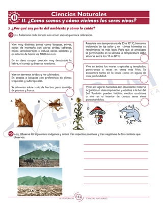 SEXTO GRADO CIENCIAS NATURALES
162
Pr
oyect
o
b
loqu
e
2
E
(1-5) Relaciona cada tarjeta con el ser vivo al que hace referencia.
Ciencias Naturales
2 .¿Por qué soy parte del ambiente y cómo lo cuido?
Vive en todos los mares tropicales y templados,
penetrando a veces en otros más fríos. Se
encuentra tanto en la costa como en aguas de
más profundidad.
Vive en terrenos áridos y no cultivados.
En prados o bosques con preferencia de climas
tropicales y subtropicales.
Se alimenta sobre todo de hierbas, pero también
de plantas y frutos.
Requiere una temperatura de 25 a 30º C,bastante
incidencia de luz solar y en climas húmedos su
rendimiento es más bajo. Para que se produzca
la germinación en la semilla la temperatura debe
situarse entre los 15 a 20º C
Vive muy distintas zonas como bosques, selvas,
zonas de montaña con cierta aridez, sabanas,
zonas semidesérticas e incluso zonas salobres, y
en alturas de hasta los 5000 m.s.n.m.
En su dieta ocupan posición muy destacada la
liebre, el conejo y diversos roedores.
Viven en lugares húmedos,con abundante materia
orgánica en descomposición y ocultos a la luz del
Sol. También pueden habitar medios acuáticos
o vivir en el interior de ciertos seres vivos
parasitándolos.A B
C
D
(6-11) Observa las siguientes imágenes y anota tres aspectos positivos y tres negativos de los cambios que
observas.
II. ¿Como somos y cómo vivimos los seres vivos?
 