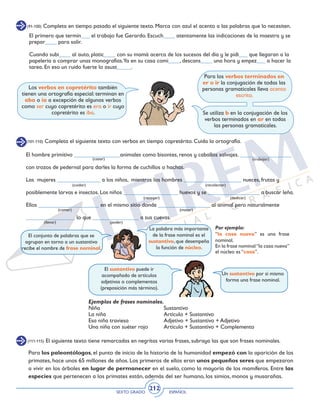 SEXTO GRADO ESPAÑOL
212
(111-115) El siguiente texto tiene remarcadas en negritas varias frases, subraya las que son frases nominales.
Ejemplos de frases nominales.
Niña				Sustantivo
La niña			 	 Artículo + Sustantivo
Esa niña traviesa		 Adjetivo + Sustantivo + Adjetivo
Una niña con suéter rojo	 Artículo + Sustantivo + Complemento
El conjunto de palabras que se
agrupan en torno a un sustantivo
recibe el nombre de frase nominal.
La palabra más importante
de la frase nominal es el
sustantivo, que desempeña
la función de núcleo.
Por ejemplo:
“la casa nueva” es una frase
nominal.
En la frase nominal“la casa nueva”
el núcleo es “casa”.
Un sustantivo por sí mismo
forma una frase nominal.
El sustantivo puede ir
acompañado de artículos
adjetivos o complementos
(preposición más término).
Para los paleontólogos, el punto de inicio de la historia de la humanidad empezó con la aparición de los
primates, hace unos 65 millones de años. Los primeros de ellos eran unos pequeños seres que empezaron
a vivir en los árboles en lugar de permanecer en el suelo, como la mayoría de los mamíferos. Entre las
especies que pertenecen a los primates están, además del ser humano, los simios, monos y musarañas.
(91-100) Completa en tiempo pasado el siguiente texto. Marca con azul el acento a las palabras que lo necesiten.
El primero que termin___ el trabajo fue Gerardo. Escuch____ atentamente las indicaciones de la maestra y se
prepar____ para salir.
Cuando subi____ al auto, platic____ con su mamá acerca de los sucesos del día y le pidi___ que llegaran a la
papelería a comprar unas monografías.Ya en su casa comi____, descans____ una hora y empez___ a hacer la
tarea. En eso un ruido fuerte lo asust_____.
Los verbos en copretérito también
tienen una ortografía especial: terminan en
aba o ía a excepción de algunos verbos
como ser cuyo copretérito es era o ir cuyo
copretérito es iba.
Para los verbos terminados en
er o ir la conjugación de todas las
personas gramaticales lleva acento
escrito.
Se utiliza b en la conjugación de los
verbos terminados en ar en todas
las personas gramaticales.
(101-110) Completa el siguiente texto con verbos en tiempo copretérito. Cuida la ortografía.
El hombre primitivo ________________animales como bisontes, renos y caballos salvajes. __________________
con trozos de pedernal para darles la forma de cuchillos o hachas.
Las mujeres _______________ a los niños, mientras los hombres ____________________ nueces, frutas y
posiblemente larvas e insectos. Los niños ___________________ huevos y se __________________ a buscar leña.
Ellos _____________________ en el mismo sitio donde __________________ al animal pero naturalmente
_________________ lo que ________________ a sus cuevas.
(cazar) (trabajar)
(cuidar) (recolectar)
(recoger) (dedicar)
(comer) (matar)
(llevar) (poder)
 
