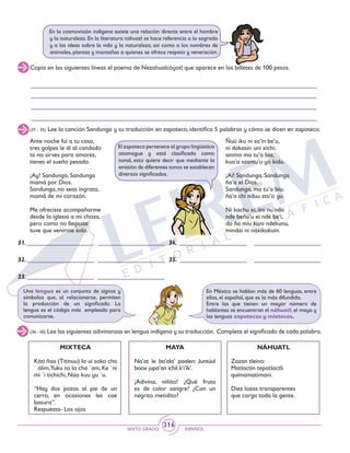 SEXTO GRADO ESPAÑOL
316
En la cosmovisión indígena existe una relación directa entre el hombre
y la naturaleza. En la literatura náhuatl se hace referencia a lo sagrado
y a las ideas sobre la vida y la naturaleza, así como a los nombres de
animales, plantas y montañas a quienes se ofrece respeto y veneración.
Copia en las siguientes líneas el poema de Nezahualcóyotl que aparece en los billetes de 100 pesos.
El zapoteco pertenece al grupo lingüístico
otomague y está clasificada como
tonal, esto quiere decir que mediante la
emisión de diferentes tonos se establecen
diversos significados.
(31 - 35) Lee la canción Sandunga y su traducción en zapoteco, identifica 5 palabras y cómo se dicen en zapoteco.
Ante noche fui a tu casa,
tres golpes le di al candado
tú no sirves para amores,
tienes el sueño pesado.
¡Ay! Sandunga, Sandunga
mamá por Dios.
Sandunga, no seas ingrata,
mamá de mi corazón.
Me ofreciste acompañarme
desde la iglesia a mi choza,
pero como no llegaste
tuve que venirme solo.
Ñuú iku ni sa’in be’u,
ni dakasin uni xichi;
animo ma tu’a bia,
kua’a sasntu’u yo kidu.
¡Ai! Sandunga, Sandunga
ña’a xi Dios.
Sandunga, ma tu’a biu;
ña’a chi nduu sto’o yu.
Ni kachu xi, iini nu’nda
nde beñu’u xi ndé be’i,
do ña miu koni ndekunu,
mindai ni naxikokuin.
31.	
32.	
33.
34.	
35.	
En México se hablan más de 60 lenguas, entre
ellas, el español, que es la más difundida.
Entre las que tienen un mayor número de
hablantes se encuentran el náhuatl, el maya y
las lenguas zapotecas y mixtecas.
Una lengua es un conjunto de signos y
símbolos que, al relacionarse, permiten
la producción de un significado. La
lengua es el código más empleado para
comunicarse.
(36 - 40) Lee las siguientes adivinanzas en lengua indígena y su traducción. Completa el significado de cada palabra.
MIXTECA
Káti ñaa (Titinuu) Io ui soko cha
´ alim,Yuku ta lo cha ´ani, Ke ´ni
mi ´i tichichi, Naa kuu yu ´u.
“Hay dos pozos al pie de un
cerro, en ocasiones les cae
basura”.
Respuesta- Los ojos
MAYA
Na’at le ba’ala’ paalen: Juntúul
boox jupa’an ichil k’i’ik’.
¡Adivína, niñito! ¿Qué fruta
es de color sangre? ¿Con un
negrito metidito?
NÁHUATL
Zazan tleino:
Matlactin tepatlactli
quimamatimani.
Diez lozas transparentes
que carga toda la gente.
 
