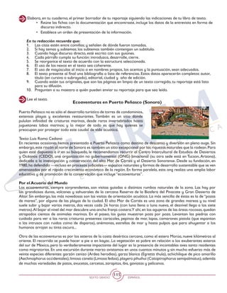 SEXTO GRADO ESPAÑOL
115
Elabora, en tu cuaderno, el primer borrador de tu reportaje siguiendo las indicaciones de tu libro de texto.
•	 Reúne las fichas con la documentación que encontraste, incluye los datos de la entrevista en forma de
discurso indirecto.
•	 Establece un orden de presentación de la información.
En tu redacción recuerda que:
1. 	 Las citas estén entre comillas; y señalen de dónde fueron tomadas.
2. 	 Si hay temas y subtemas; los subtemas también contengan un subtítulo.
3. 	 Cuando haya discurso directo, esté escrito con sus guiones.
4. 	 Cada párrafo cumpla su función: introduzca, desarrolle, cierre.
5. 	 Se reorganice el texto de acuerdo con la estructura seleccionada.
6. 	 El uso de los nexos en el texto sea coherente.
7. 	 El uso de mayúsculas al inicio o en nombres propios, los acentos y la puntuación, sean adecuados.
8. 	 El texto presente al final una bibliografía o lista de referencias. Estos datos aparecerán completos: autor,
título (en cursiva o subrayado), editorial, ciudad y año de edición.
9. 	 Cuando estén tus originales, que son las páginas en limpio de un texto corregido, tu reportaje está listo
para su difusión.
10. 	 Pregunten a su maestro a quién pueden enviar su reportaje para que sea leído.
Ecoaventuras en Puerto Peñasco (Sonora)
Puerto Peñasco no es sólo el desarrollo turístico de torres de condominios,
extensas playas y excelentes restaurantes. También es un sitio donde
pululan infinidad de criaturas marinas, desde raros invertebrados hasta
juguetones lobos marinos; y lo mejor de todo es que hay quienes se
preocupan por proteger todo este caudal de vida acuática.
Texto: Luis Romo Cedano
En recientes ocasiones hemos presentado a Puerto Peñasco como destino de descanso y diversión en pleno auge. Sin
embargo,este rincón al norte de Sonora es también un sitio excepcional por las riquezas naturales que la rodean.Para
quien esté dispuesto a ir en su búsqueda, le recomendamos recurrir al Centro Intercultural de Estudios de Desiertos
y Océanos (CEDO), una organización no gubernamental (ONG) binacional (su otra sede está en Tucson,Arizona),
dedicada a la investigación y conservación del alto Mar de Cortés y el Desierto Sonorense. Desde su fundación, en
1980,ha defendido —incluso en procesos judiciales— espacios naturales y formas de desarrollo sustentable que se ven
amenazados por el rápido crecimiento económico de la región. En forma paralela, esta ong realiza una amplia labor
educativa y de promoción de la conservación que incluye “ecoaventuras”.
Por el Acuario del Mundo
Las ecoaventuras, siempre sorprendentes, son visitas guiadas a distintos rumbos naturales de la zona. Las hay por
las grandiosas dunas, volcanes y sahuarales de la cercana Reserva de la Biosfera del Pinacate y Gran Desierto de
Altar. Sin embargo, las más novedosas son las visitas de orientación acuática. La más sencilla de éstas es la de “pozas
de marea”, por alguna de las playas de la ciudad. El alto Mar de Cortés es una zona de grandes mareas y su nivel
suele subir y bajar varios metros, dos veces cada 24 horas (con luna llena o luna nueva, el desnivel llega a los siete
metros).Al bajar el nivel del mar descubre una ancha franja costera.Y ahí,en los agujeros de las áreas rocosas,quedan
atrapados cientos de animales marinos. En el paseo, los guías muestran poza por poza. Levantan las piedras con
cuidado para ver a las raras criaturas presentes: caracoles, pepinos de mar, lapas, camarones pistola (que espantan
a los intrusos con ruidos como de disparos), anémonas, estrellas de mar y hasta pulpos que para ahuyentar a los
humanos arrojan su tinta oscura...
Otra de las ecoaventuras es por los esteros de la costa desértica cercana, como el estero Morúa, nueve kilómetros al
oriente. El recorrido se puede hacer a pie o en kayac. La vegetación es pobre en relación a los exuberantes esteros
del sur de México, pero lo verdaderamente impactante del lugar es la presencia de incontables aves tanto residentes
como migratorias. En una excursión durante marzo avistamos en unos cuantos minutos y sin mucho esfuerzo más de
veinte especies diferentes: garzón cenizo (Ardea herodias), garza blanca (Egretta thula), achichilique de pico amarillo
(Aechmophorus occidentales),limosa canela (Limosa fedoa),playero pihuihui (Catoptrophorus semipalmatus),además
de muchas variedades de patos, avucetas, cercetas, zarapitos, ibis, gaviotas y pelícanos.
Lee el texto.
 