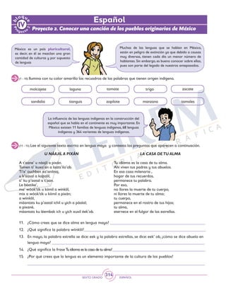 SEXTO GRADO ESPAÑOL
314
(1 - 10) Ilumina con tu color amarillo los recuadros de las palabras que tienen origen indígena.
molcajete laguna tomate trigo zacate
sandalia tianguis zopilote manzana tamales
La influencia de las lenguas indígenas en la construcción del
español que se habla en el continente es muy importante. En
México existen 11 familias de lenguas indígenas, 68 lenguas
indígenas y 364 variantes de lenguas indígenas.
(11 - 15) Lee el siguiente texto escrito en lengua maya y contesta las preguntas que aparecen a continuación.
U NÁAJIL A PIXÁN
A t’aane’ u náajil a pixán.
Tumen ti’ kuxa’an a laats’ilo’ob.
Ti’e’ úuchben xa’anilnaj,
u k’aasal a kajtalil,
ti’ ku p’aatal a t’aan.
Le béetike’,
ma’ wóok’tik u kíimil a wínklil,
mix a wóok’tik u kíimil a pixán;
a wíinklil,
máantats ku p’aatal ichil u yich a páalal;
a pixané,
máantats ku léembak ich u yich xuxil éek’ob.
LA CASA DETU ALMA
Tu idioma es la casa de tu alma.
Ahí viven tus padres y tus abuelos.
En esa casa milenaria ,
hogar de tus recuerdos,
permanece tu palabra.
Por eso,
no llores la muerte de tu cuerpo,
ni llores la muerte de tu alma;
tu cuerpo,
permanece en el rostro de tus hijos;
tu alma,
eternece en el fulgor de las estrellas.
México es un país pluricultural,
es decir, en él se mezclan una gran
cantidad de culturas y por supuesto
de lenguas
Muchas de las lenguas que se hablan en México,
están en peligro de extinción ya que debido a causas
muy diversas, tienen cada día un menor número de
hablantes. Sin embargo, es bueno conocer sobre ellas,
pues son parte del legado de nuestros antepasados.
11.	 ¿Cómo crees que se dice alma en lengua maya? ______________________________________________
12.	 ¿Qué significa la palabra wíinklil?___________________________________________________________
13.	 En mayo, la palabra estrella se dice: eek y la palabra estrellas, se dice: eek’ ob, ¿cómo se dice abuelo en
lengua maya? __________________________________________________________________________
14.	 ¿Qué significa la frase Tu idioma es la casa de tu alma?_____________________________________________
15.	 ¿Por qué crees que la lengua es un elemento importante de la cultura de los pueblos?
	 ______________________________________________________________________________________
Español
Proyecto 2. Conocer una canción de los pueblos originarios de México
 