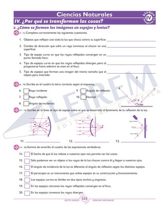 SEXTO GRADO CIENCIAS NATURALES
325
Ciencias Naturales
IV. ¿Por qué se transforman las cosas?
(1 - 5) Completa correctamente las siguientes cuestiones.
(6 - 10) Escribe en el cuadro la letra correcta según el esquema.
1. 	 Objetos que reflejan casi toda la luz que choca contra su superficie:
2. 	 Cambio de dirección que sufre un rayo luminoso al chocar en una
superficie:
3. 	 Tipo de espejo curvo en que los rayos reflejados convergen en un
punto llamado foco:
4. 	 Tipo de espejos curvo en que los rayos reflejados divergen, pero al
proyectarse hacia adentro se unen en el foco:
5. 	 Tipo de espejos que forman una imagen del mismo tamaño que el
objeto pero invertida:
6. 	 Rayo incidente
7. 	 Rayo reflejado
8. 	 Ángulo de incidencia
9. 	 Ángulo de reflexión
10. 	 Normal
D E
90o
A
B
C
(11 - 13) Escribe en la línea el tipo de espejo sobre el que se desarrolla el fenómeno de la reflexión de la luz.
F V FV
Rayo incidente
Normal
Rayo reflejado
Espejoplano
11. 12. 13.
14. 	 El hecho de que la luz rebote a nuestros ojos nos permite ver las cosas.
15. 	 Sólo podemos ver un objeto si los rayos de la luz chocan contra él y llegan a nuestros ojos.
16. 	 El ángulo de incidencia de la luz es diferente al ángulo de reflexión según los distintos espejos.
17. 	 El periscopio es un instrumento que utiliza espejos en su construcción y funcionamiento.
18. 	 Los espejos curvos se dividen en dos tipos: anchos y angostos.
19. 	 En los espejos cóncavos los rayos reflejados convergen en el foco.
20. 	 En los espejos convexos los rayos divergen.
(14 - 20) Ilumina de amarillo el cuadro de las expresiones verdaderas.
2. ¿Cómo se forman las imágenes en espejos y lentes?
 