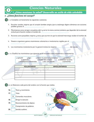 SEXTO GRADO CIENCIAS NATURALES
60
Ciencias Naturales
I. ¿Cómo mantener la salud? Desarrollo un estilo de vida saludable
2 . ¿Cómo funciona mi cuerpo?
(1 -5) Completa correctamente las siguientes cuestiones.
(6 -15) Clasifica los movimientos que aparecen en el recuadro como voluntarios o involuntarios.
(16 -20) Relaciona cada parte del cerebro con la función que realiza.
1. 	 Escuchar sonidos, respirar, que el corazón bombee sangre, que tu estómago digiera alimentos son acciones
posibles gracias al _______________________.
2. 	 Movimientos como atrapar una pelota,abrir y cerrar la mano,caminar,etcétera,que dependen de la voluntad
actitud para hacerlo reciben el nombre de ________________________________.
3. 	 Acciones como parpadear, respirar, y otros, que ocurren sin que la voluntad intervenga reciben el nombre de
______________________________________
4. 	 Nuestro organismo genera movimientos voluntarios e involuntarios regidos por el ____________________
________________.
5. 	 Los movimientos involuntarios por lo general involucran órganos _______________ del cuerpo.
16.	 Tacto y movimiento.
17.	 Vista
	 Comandos musculares	
18.	 Dirige la atención
19.	 Reconocimiento de objetos
	 Comprensión de palabras
20.	 Sentido auditivo
B
C
E
G
A
D
F
aplaudir	 hipo	 retirar la mano al quemarnos	 pestañear
	 masticar	 latidos del corazón	 estrechar la mano	
movimientos intestinales		 dar una patada		 sentarnos	
F
B
VOLUNTARIOS INVOLUNTARIOS
Pr
oyect
o
b
loqu
e
2
 