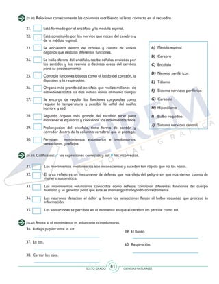 SEXTO GRADO CIENCIAS NATURALES
61
(21-30) Relaciona correctamente las columnas escribiendo la letra correcta en el recuadro.
(31-35) Califica así: las expresiones correctas y así: las incorrectas.
21. 	 Está formado por el encéfalo y la médula espinal.
22. 	 Está constituido por los nervios que nacen del cerebro y
de la médula espinal.
23. 	 Se encuentra dentro del cráneo y consta de varios
órganos que realizan diferentes funciones.
24. 	 Se halla dentro del encéfalo, recibe señales enviadas por
los sentidos y las reenvía a distintas áreas del cerebro
para su procesamiento.
25. 	 Controla funciones básicas como el latido del corazón, la
digestión y la respiración.
26. 	 Órgano más grande del encéfalo que realiza millones de
actividades todos los días incluso varias al mismo tiempo.
27. 	 Se encarga de regular las funciones corporales como
regular la temperatura y percibir la señal del sueño,
hambre y sed.
28. 	 Segundo órgano más grande del encéfalo sirve para
mantener el equilibrio y coordinar los movimientos finos.
29. 	 Prolongación del encéfalo, tiene forma de cordón y
corredor dentro de la columna vertebral que la protege.
30. 	 Permiten movimientos voluntarios e involuntarios,
sensaciones y reflejos.
A) 	Médula espinal
B) 	Cerebro
C) 	Encéfalo
D) 	Nervios periféricos
E) 	Tálamo
F) 	 Sistema nervioso periférico
G) 	Cerebelo
H) 	Hipotálamo
I) 	 Bulbo raquídeo
J) 	 Sistema nervioso central
31. 	 Los movimientos involuntarios son inconscientes y suceden tan rápido que no los notas.
32.	 El arco reflejo es un mecanismo de defensa que nos aleja del peligro sin que nos demos cuenta de
manera automática.
33. 	 Los movimientos voluntarios conocidos como reflejos controlan diferentes funciones del cuerpo
humano y se generan para que éste se mantenga trabajando correctamente.
34.	 Las neuronas detectan el dolor y llevan las sensaciones físicas al bulbo raquídeo que procesa la
información.
35. 	 Las sensaciones se perciben en el momento en que el cerebro las percibe como tal.
(36-40) Anota si el movimiento es voluntario o involuntario.
36. 	Reflejo pupilar ante la luz.	
37. 	La tos.	
38. 	Cerrar los ojos.		
39. 	El llanto.			
40. 	Respiración.			
 