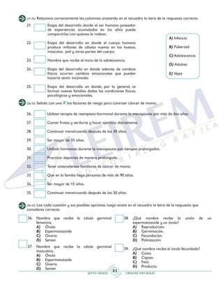 SEXTO GRADO CIENCIAS NATURALES
85
(21-25) Relaciona correctamente las columnas anotando en el recuadro la letra de la respuesta correcta.
A) Infancia
B) Pubertad
C) Adolescencia
D) Adultez
E) Vejez
21. 	 Etapa del desarrollo donde el ser humano poseedor
de experiencias acumuladas en los años puede
compartirlas con quienes le rodean.
22. 	 Etapa del desarrollo en donde el cuerpo humano
produce millones de células nuevas en los huesos,
músculos, piel y otras partes del cuerpo.
23. 	 Nombre que recibe el inicio de la adolescencia.
24. 	 Etapa del desarrollo en donde además de cambios
físicos ocurren cambios emocionales que pueden
hacerte sentir incómodo.
25. 	 Etapa del desarrollo en donde, por lo general, se
forman nuevas familias dadas las condiciones físicas,
psicológicas y emocionales.
(26-35) Señala con una los factores de riesgo para contraer cáncer de mama.
26. 	 Utilizar terapia de reemplazo hormonal durante la menopausia por más de dos años.
27. 	 Comer frutas y verduras y hacer ejercicio diariamente.
28. 	 Continuar menstruando después de los 30 años.
29. 	 Ser mayor de 35 años.
30. 	 Utilizar hormonas durante la menopausia por tiempos prolongados.
31. 	 Practicar deportes de manera prolongada.
32. 	 Tener antecedentes familiares de cáncer de mama.
33. 	 Que en la familia haya personas de más de 90 años.
34. 	 Ser mayor de 15 años.
35. 	 Continuar menstruando después de los 50 años.
(36-45) Lee cada cuestión y sus posibles opciones, luego anota en el recuadro la letra de la respuesta que
consideres correcta.
36. 	Nombre que recibe la célula germinal
femenina.
	A) 	 Óvulo
	B) 	 Espermatozoide
	C) 	 Ovario
	D) 	 Semen
37. 	Nombre que recibe la célula germinal
masculina.
	A) 	 Óvulo
	B) 	 Espermatozoide
	C) 	 Ovario
	D) 	 Semen
38. 	¿Qué nombre recibe la unión de un
espermatozoide y un óvulo?
	A) 	 Reproducción.
	 B) 	 Germinación.
	C) 	 Fecundación.
	D) 	 Polinización
39. 	 ¿Qué nombre recibe el óvulo fecundado?
	 A) 	 Coito.
	 B) 	 Cigoto.
	C) 	 Feto.
	 D) 	 Producto.
 