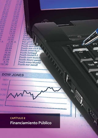 Libro de Consulta 2012. CULTURA TRIBUTARIA62
CAPÍTULO 2
Financiamiento Público
 