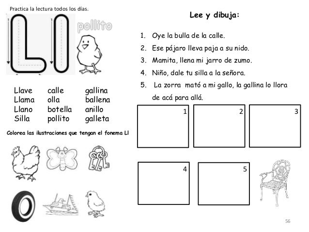 Libro de actividades grado 1º