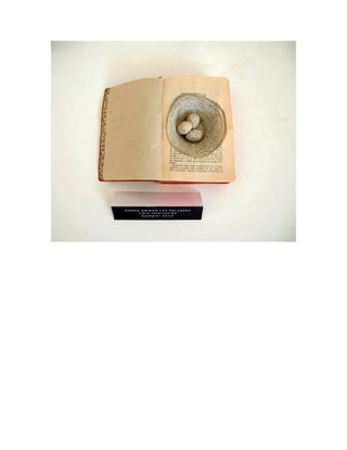 Libro de artista ejemplos