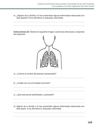 169
Conoces los principios estructurales y funcionales de los seres humanos
y los comparas con otros organismos del reino animal
e)	 ¿Alguien de tu familia o tú han presentado alguna enfermedad relacionada con
este aparato? Si es afirmativa tu respuesta, descríbela.
Instrucciones (3): Observa la siguiente imagen, ilumina las estructuras y responde
las preguntas.
a)	 ¿Cuál es el nombre del aparato representado?
b)	 ¿Cuáles son sus principales funciones?
c)	 ¿Qué estructuras identificaste y coloreaste?
d)	 Alguien de tu familia o tú han presentado alguna enfermedad relacionada con
este aparto, si es afirmativa tu respuesta, descríbela.
 