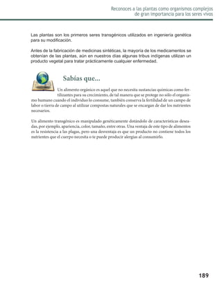 189
Reconoces a las plantas como organismos complejos
de gran importancia para los seres vivos
Las plantas son los primeros seres transgénicos utilizados en ingeniería genética
para su modificación.
Antes de la fabricación de medicinas sintéticas, la mayoría de los medicamentos se
obtenían de las plantas, aún en nuestros días algunas tribus indígenas utilizan un
producto vegetal para tratar prácticamente cualquier enfermedad.
Sabías que...
Un alimento orgánico es aquel que no necesita sustancias químicas como fer-
tilizantes para su crecimiento, de tal manera que se protege no sólo el organis-
mo humano cuando el individuo lo consume, también conserva la fertilidad de un campo de
labor o tierra de campo al utilizar compostas naturales que se encargan de dar los nutrientes
necesarios.
Un alimento transgénico es manipulado genéticamente dotándolo de características desea-
das, por ejemplo, apariencia, color, tamaño, entre otras. Una ventaja de este tipo de alimentos
es la resistencia a las plagas, pero una desventaja es que un producto no contiene todos los
nutrientes que el cuerpo necesita o te puede producir alergias al consumirlo.
 