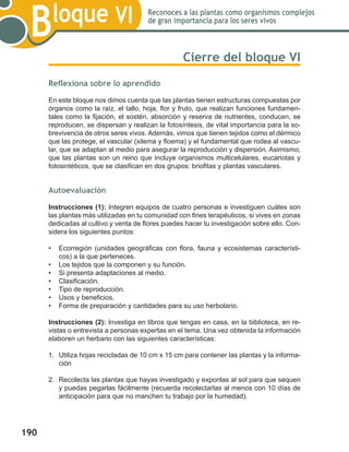 190
Bloque VI Reconoces a las plantas como organismos complejos
de gran importancia para los seres vivos
Cierre del bloque VI
Reflexiona sobre lo aprendido
En este bloque nos dimos cuenta que las plantas tienen estructuras compuestas por
órganos como la raíz, el tallo, hoja, flor y fruto, que realizan funciones fundamen-
tales como la fijación, el sostén, absorción y reserva de nutrientes, conducen, se
reproducen, se dispersan y realizan la fotosíntesis, de vital importancia para la so-
brevivencia de otros seres vivos. Además, vimos que tienen tejidos como el dérmico
que las protege, el vascular (xilema y floema) y el fundamental que rodea al vascu-
lar, que se adaptan al medio para asegurar la reproducción y dispersión. Asimismo,
que las plantas son un reino que incluye organismos multicelulares, eucariotas y
fotosintéticos, que se clasifican en dos grupos: briofitas y plantas vasculares.
Autoevaluación
Instrucciones (1): Integren equipos de cuatro personas e investiguen cuáles son
las plantas más utilizadas en tu comunidad con fines terapéuticos, si vives en zonas
dedicadas al cultivo y venta de flores puedes hacer tu investigación sobre ello. Con-
sidera los siguientes puntos:
•	 Ecorregión (unidades geográficas con flora, fauna y ecosistemas característi-
cos) a la que perteneces.
•	 Los tejidos que la componen y su función.
•	 Si presenta adaptaciones al medio.
•	 Clasificación.
•	 Tipo de reproducción.
•	 Usos y beneficios.
•	 Forma de preparación y cantidades para su uso herbolario.
Instrucciones (2): Investiga en libros que tengas en casa, en la biblioteca, en re-
vistas o entrevista a personas expertas en el tema. Una vez obtenida la información
elaboren un herbario con las siguientes características:
1.	 Utiliza hojas recicladas de 10 cm x 15 cm para contener las plantas y la informa-
ción
2.	 Recolecta las plantas que hayas investigado y exponlas al sol para que sequen
y puedas pegarlas fácilmente (recuerda recolectarlas al menos con 10 días de
anticipación para que no manchen tu trabajo por la humedad).
 