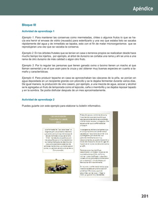 201
Bloque III
Actividad de aprendizaje 1
Ejemplo 1. Para mantener las conservas como mermeladas, chiles o algunos frutos lo que se ha-
cía era hervir el envase de vidrio (reusado) para esterilizarlo y una vez que estaba listo se sacaba
rápidamente del agua y de inmediato se tapaba, esto con el fin de matar microorganismos que se
reprodujeran una vez que se vaciaba la conserva.
Ejemplo 2. En los árboles frutales que se tenían en casa o terrenos propios se realizaban desde hace
mucho tiempo los injertos, por ejemplo, al árbol de durazno se cortaba una rama y ahí se unía a una
rama de otro durazno de más calidad o algún otro fruto.
Ejemplo 3. Por lo regular las personas que tienen ganado ovino o bovino tienen un macho al que
llaman semental y es el que usan para la cruza y así obtener muy buenas especies en cuanto a ta-
maño y características.
Ejemplo 4. Para producir tepache en casa se aprovechaban las cáscaras de la piña, se ponían en
agua depositada en un recipiente grande con piloncillo y se le dejaba fermentar durante varios días.
De igual manera, la producción de vino casero, por ejemplo, a una mezcla de agua, azúcar y alcohol
se le agregaba un fruto de temporada como el tejocote, caña o membrillo y se dejaba reposar tapado
y en la sombra. Se podía disfrutar después de un mes aproximadamente.
Actividad de aprendizaje 2
Puedes guiarte con este ejemplo para elaborar tu boletín informativo.
Apéndice
 