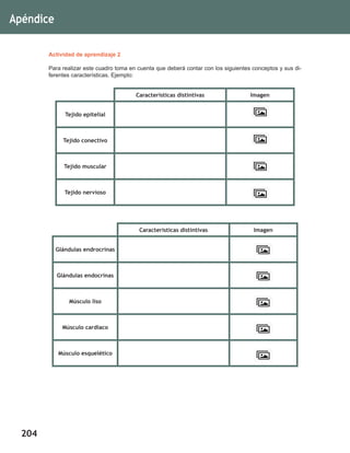 204
Apéndice
Actividad de aprendizaje 2
Para realizar este cuadro toma en cuenta que deberá contar con los siguientes conceptos y sus di-
ferentes características. Ejemplo:
Características distintivas Imagen
Tejido epitelial
Tejido conectivo
Tejido muscular
Tejido nervioso
Características distintivas Imagen
Glándulas endrocrinas
Glándulas endocrinas
Músculo liso
Músculo cardiaco
Músculo esquelético
 