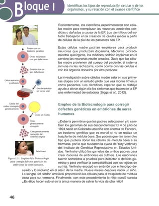 46
Bloque I Identificas los tipos de reproducción celular y de los
organismos, y su relación con el avance científico
Figura 1.31. Empleo de la Biotecnología
para corregir defectos genéticos en
embriones de seres humanos.
Recientemente, los científicos experimentaron con célu-
las madre para reemplazar las neuronas cerebrales per-
didas o dañadas a causa de la EP. Los científicos del es-
tudio trabajaron en la creación de células madre a partir
de células de la piel de los pacientes con EP.
Estas células madre podrían emplearse para producir
neuronas que produzcan dopamina. Mediante procedi-
mientos quirúrgicos, los médicos podrían implantar en el
cerebro las neuronas recién creadas. Dado que las célu-
las madre provienen del cuerpo del paciente, el sistema
inmune no las rechazaría, como ocurre con las células o
con los órganos donados por otra persona.
La investigación sobre células madre está en sus prime-
ras etapas con un estudio piloto que usa monos Rhesus
como pacientes. Los científicos esperan que su trabajo
ayude a aliviar algún día los síntomas que hacen de la EP
una enfermedad devastadora (Biggs et al., 2012).
Empleo de la Biotecnología para corregir
defectos genéticos en embriones de seres
humanos
¿Debería permitirse que los padres seleccionen y/o cam-
bien los genomas de sus descendientes? El 4 de julio de
1994 nació en Colorado una niña con anemia de Fanconi,
un trastorno genético que es mortal si no se realiza un
trasplante de médula ósea. Sus padres querían tener otro
hijo que pudiera donar las células de médula ósea a su
hermana, por lo que buscaron la ayuda de Yury Verlinsky
del Instituto de Genética Reproductiva en Estados Uni-
dos. Verlinsky utilizó los gametos de ambos padres para
crear docenas de embriones en cultivos. Los embriones
fueron sometidos a pruebas para detectar el defecto ge-
nético y para verificar la compatibilidad con los tejidos de
su hija. Verlinsky escogió un embrión con el fenotipo de-
seado y lo implantó en el útero de la madre. Nueve meses después nació un niño.
La sangre del cordón umbilical proporcionó las células para el trasplante de médula
ósea para su hermana. Finalmente, con este procedimiento la niña quedó curada
¿Es ético hacer esto si es la única manera de salvar la vida de otro niño?
Padres con un
trastorno genético
Óvulo fecundado
con gen defectuoso
Embrión con un
gen defectuoso
Célula extraída
y cultivada
Gen terapéutico
en vector viral
Célula del
cultivo corregida
geneticamente
Óvulo sin núcleo
Óvulo
genéticamente
corregido
Clon geneticamente
corregido del
embrión original
Bebé sano
 