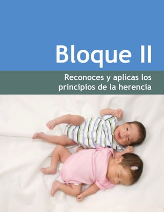 Bloque II
Reconoces y aplicas los
principios de la herencia
Bloque II. Reconoces y aplicas los principios de la herencia
 